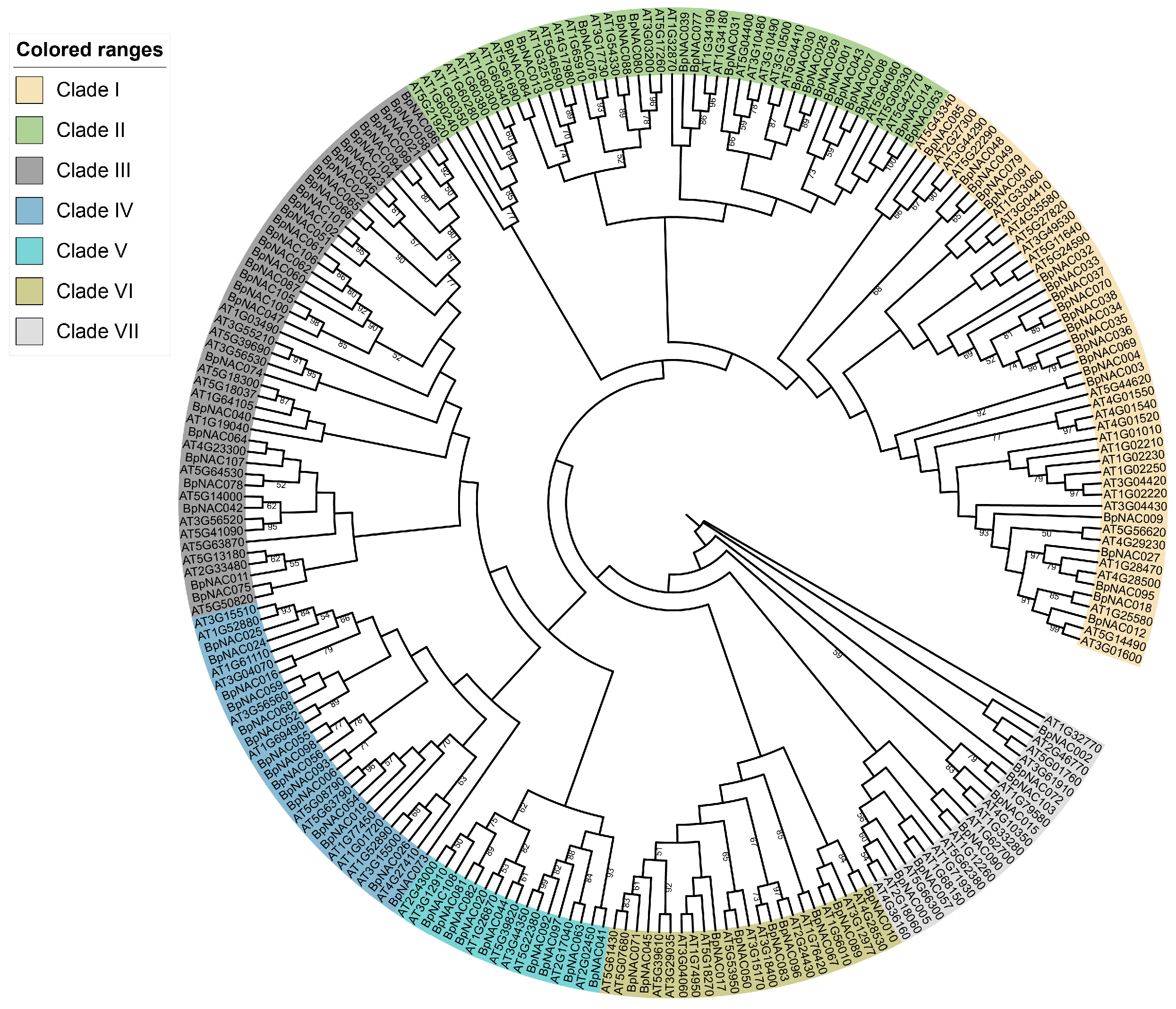 Forests 10 00741 g001