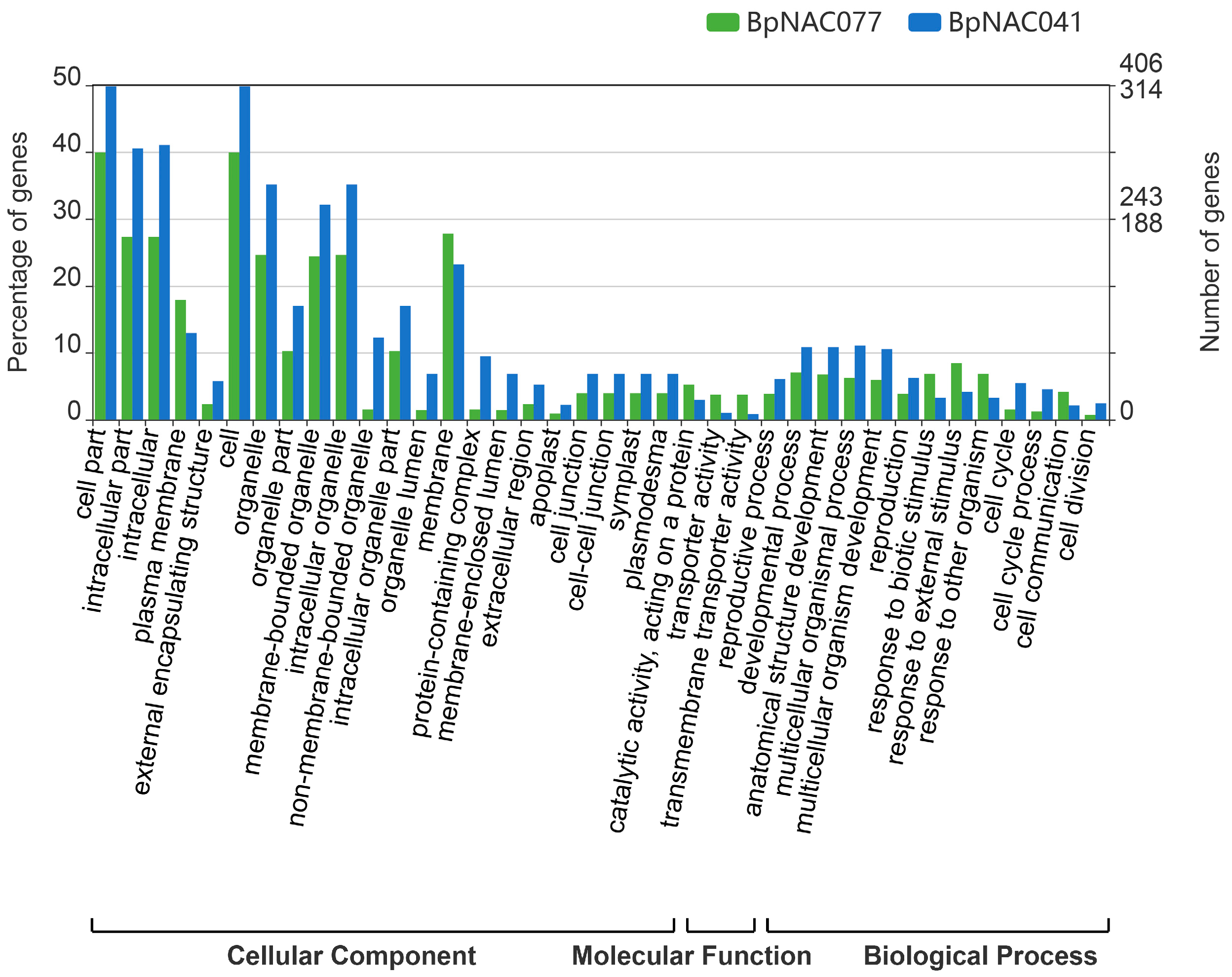 Forests 10 00741 g005