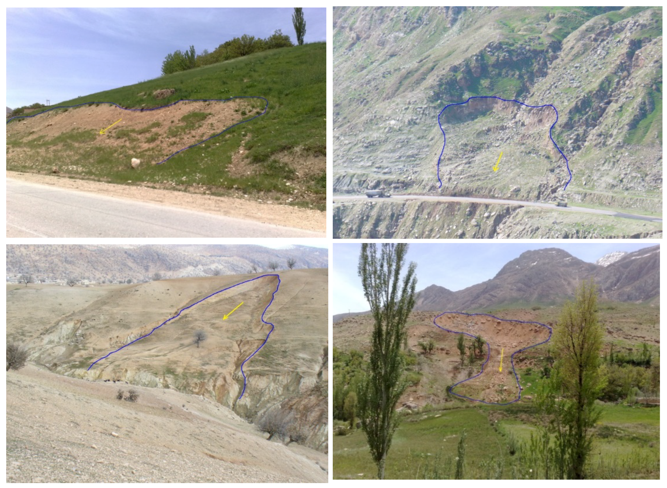 Forests 10 00743 g002