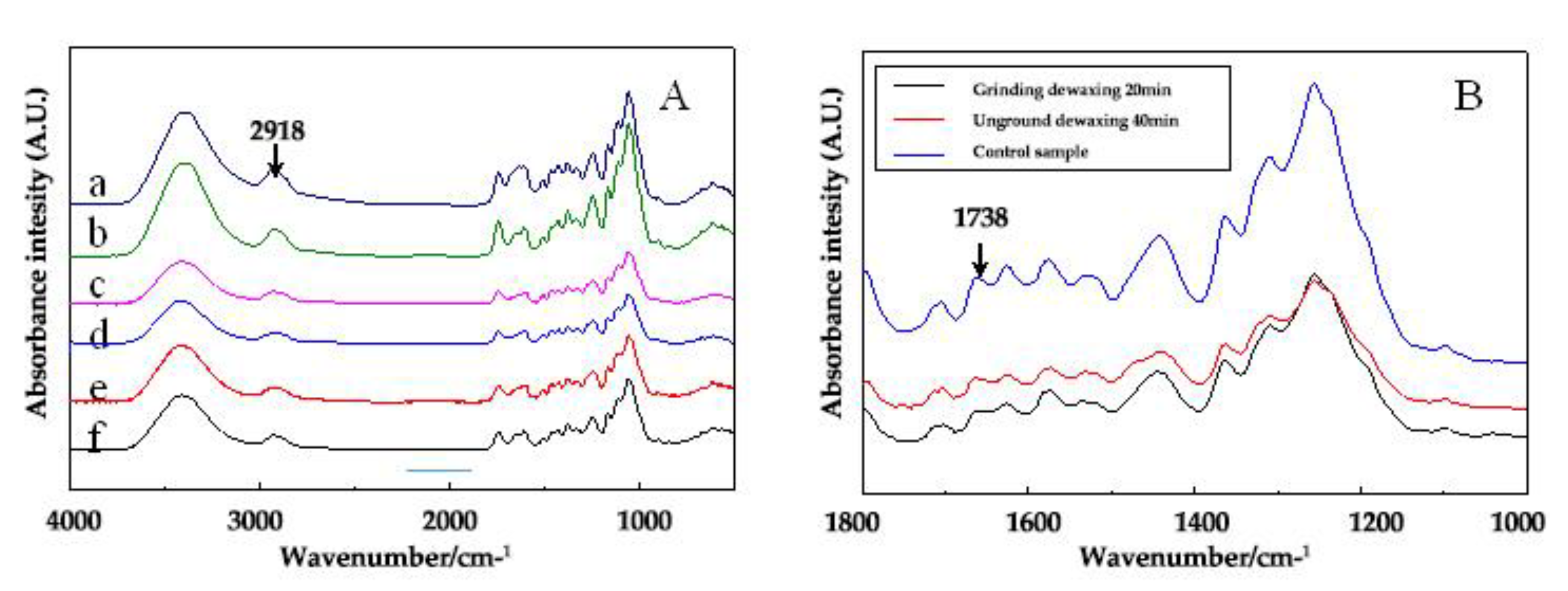 Forests 10 00749 g001