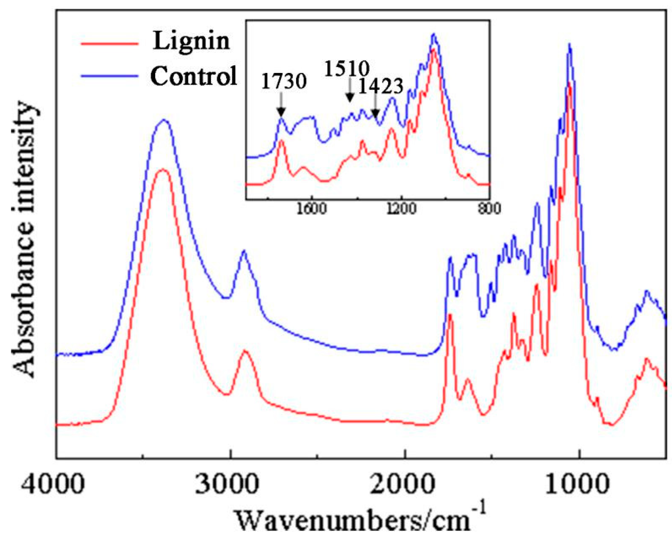 Forests 10 00749 g002