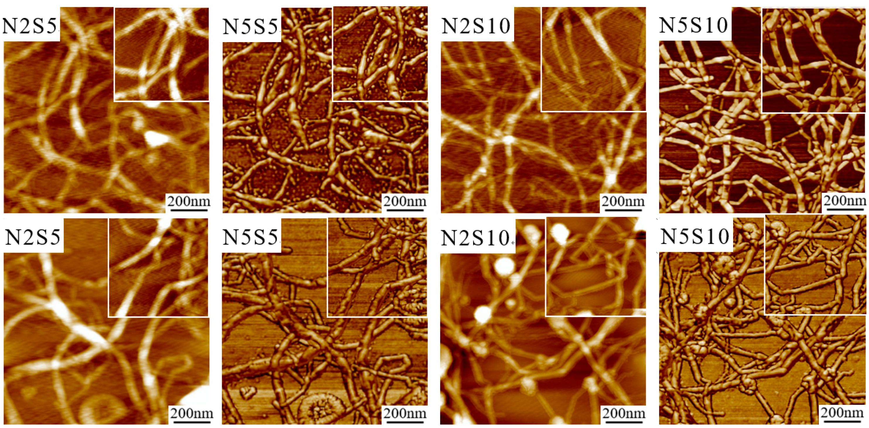 Forests 10 00749 g005