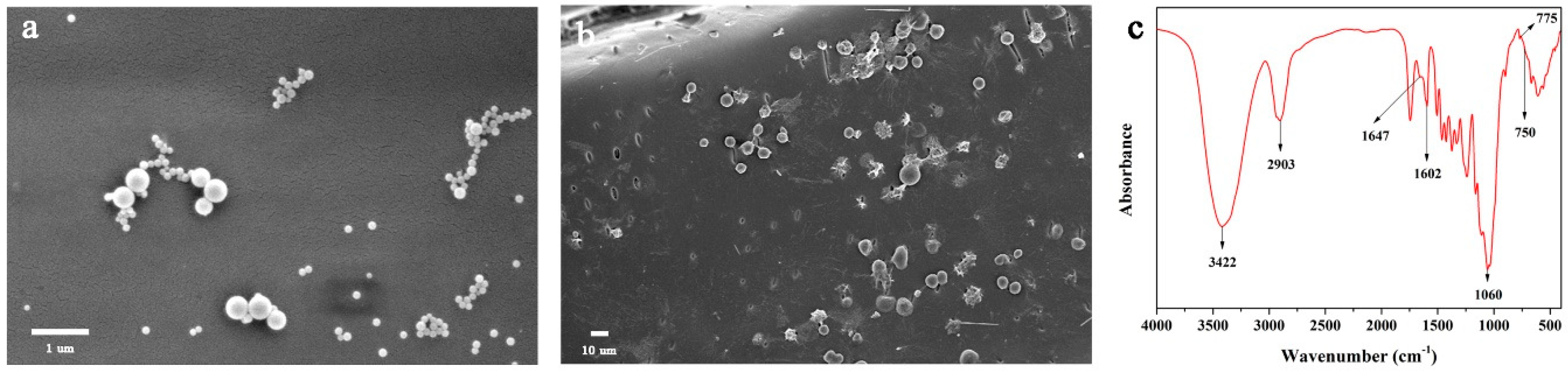 Forests 10 00750 g001