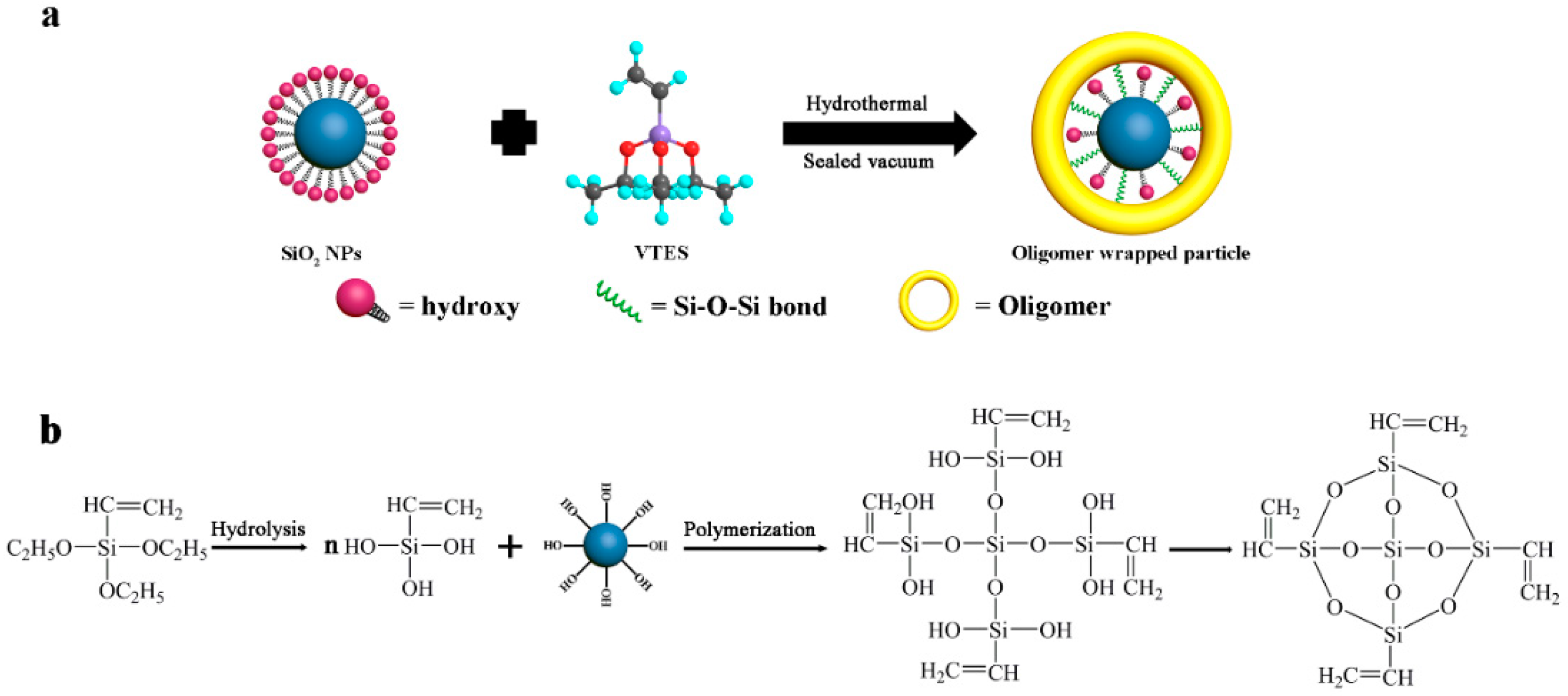Forests 10 00750 g002