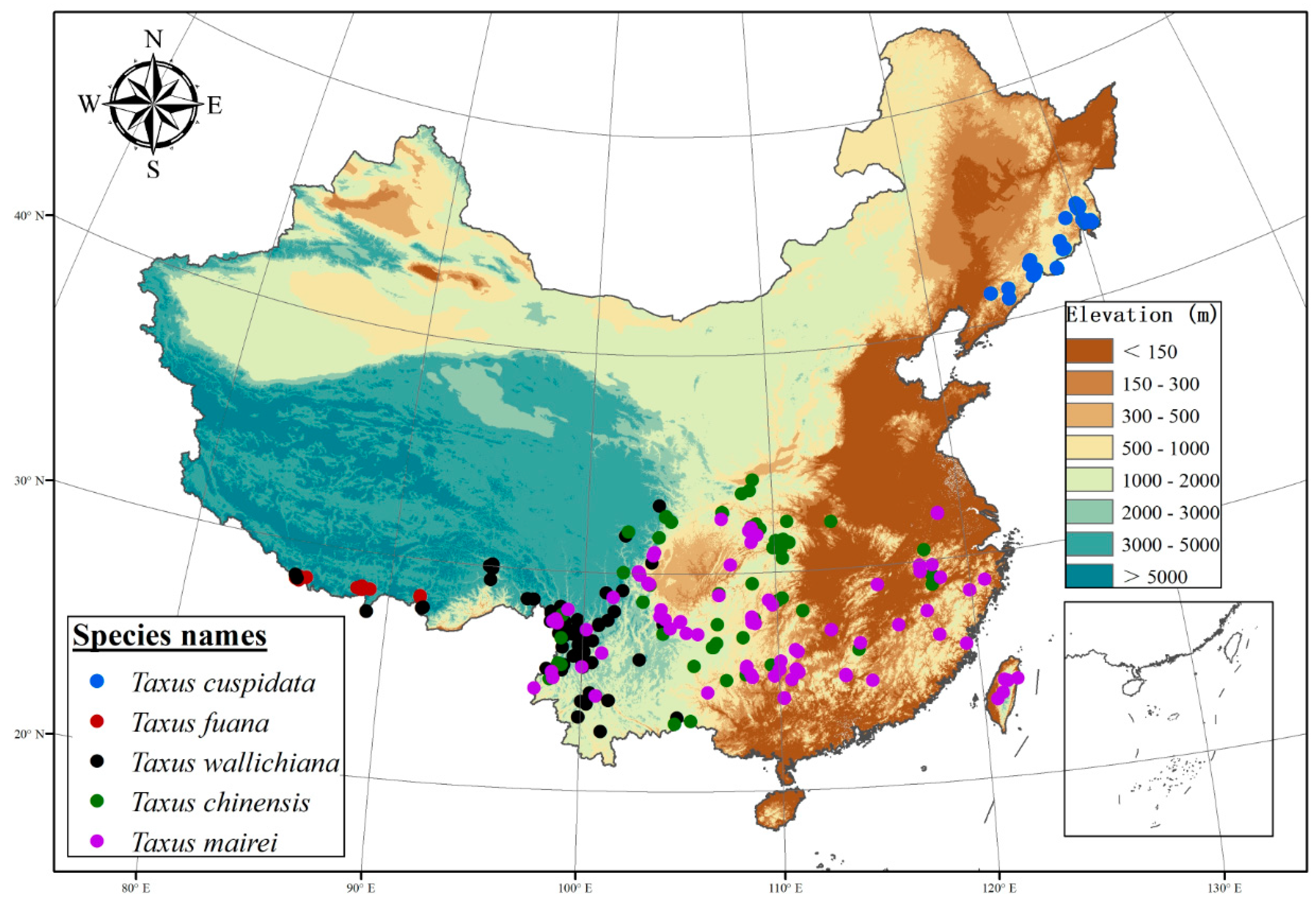 Forests 10 00766 g001 Forests 10 00766 g001