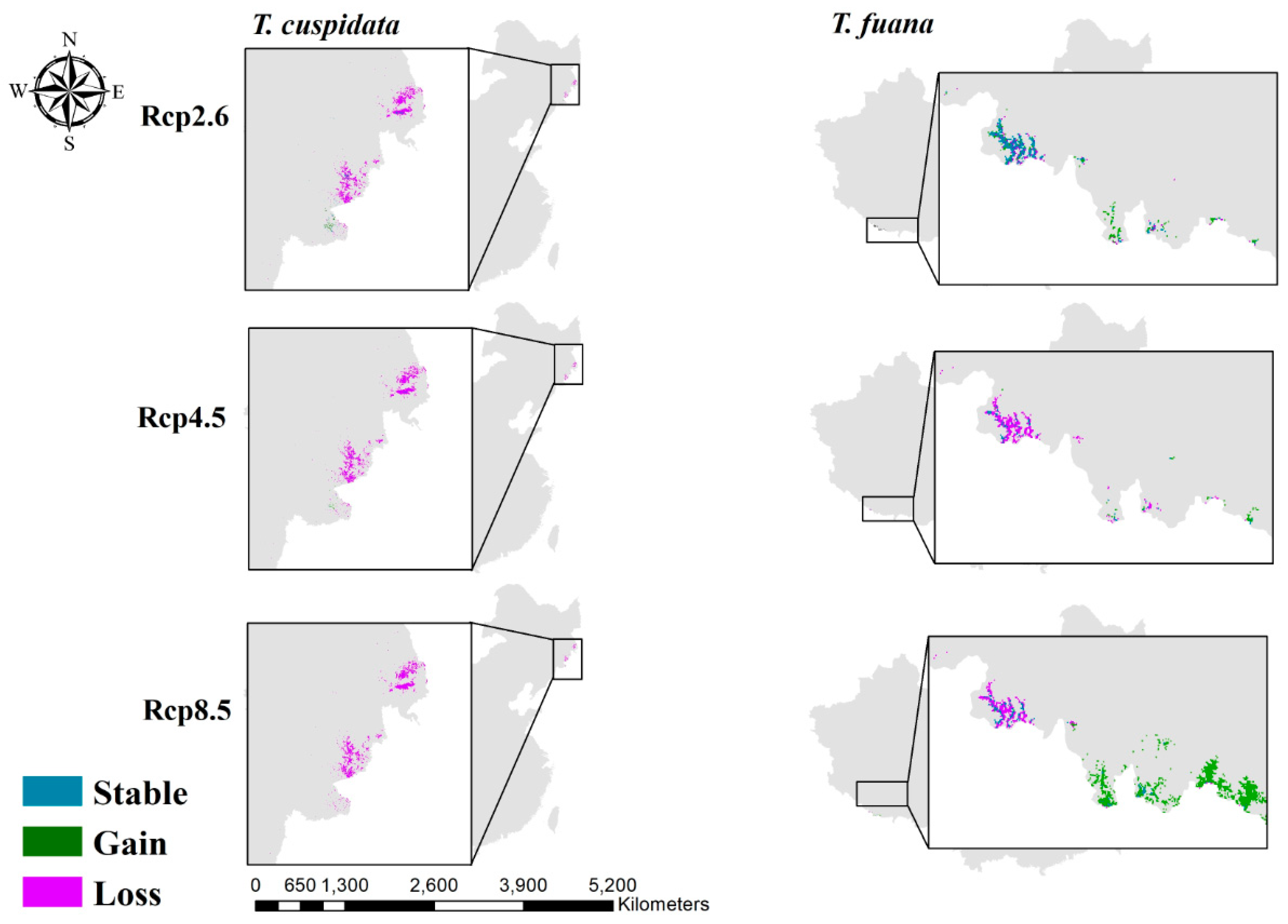 Forests 10 00766 g005 Forests 10 00766 g005