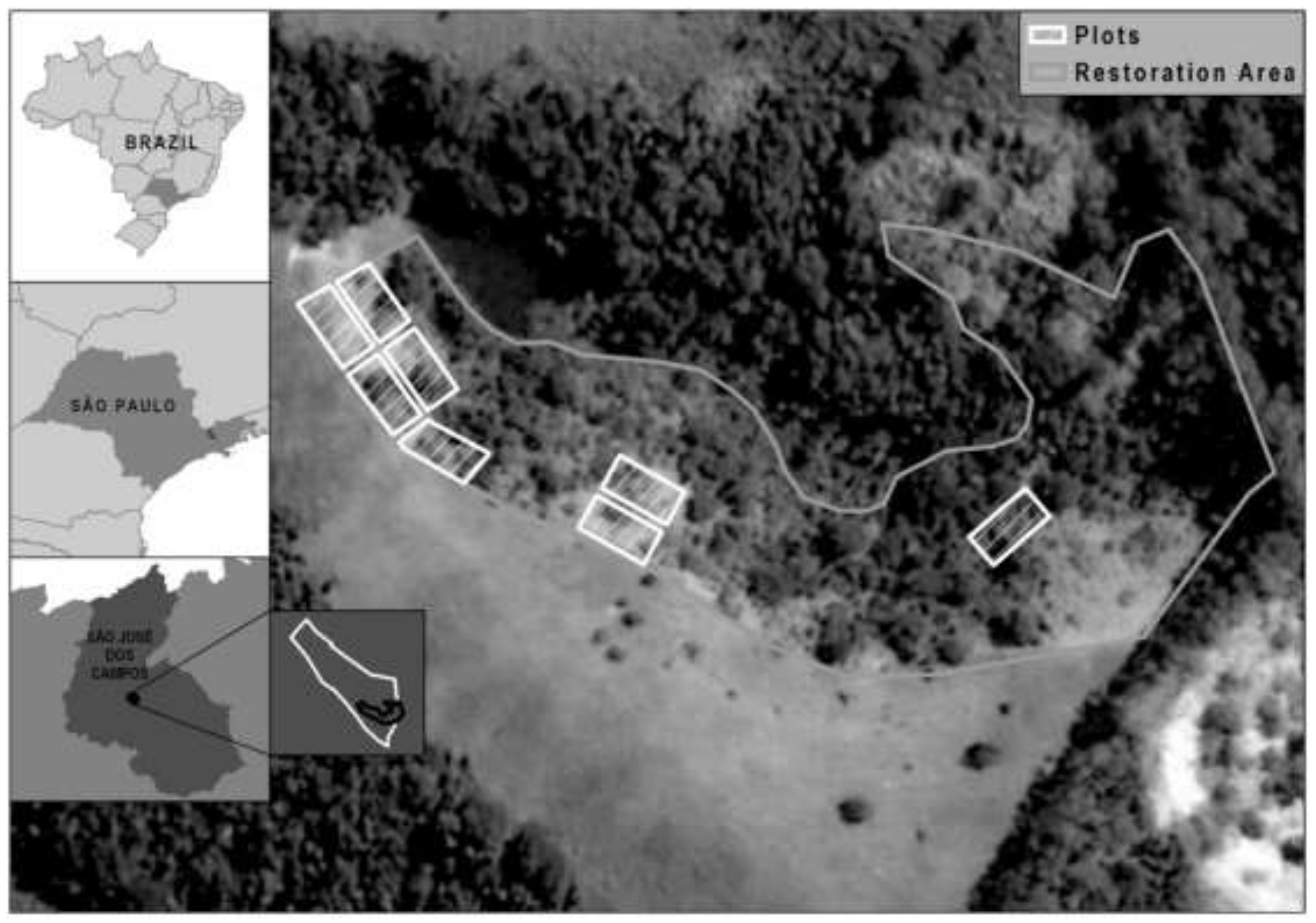 Forests 10 00768 g001 Forests 10 00768 g001