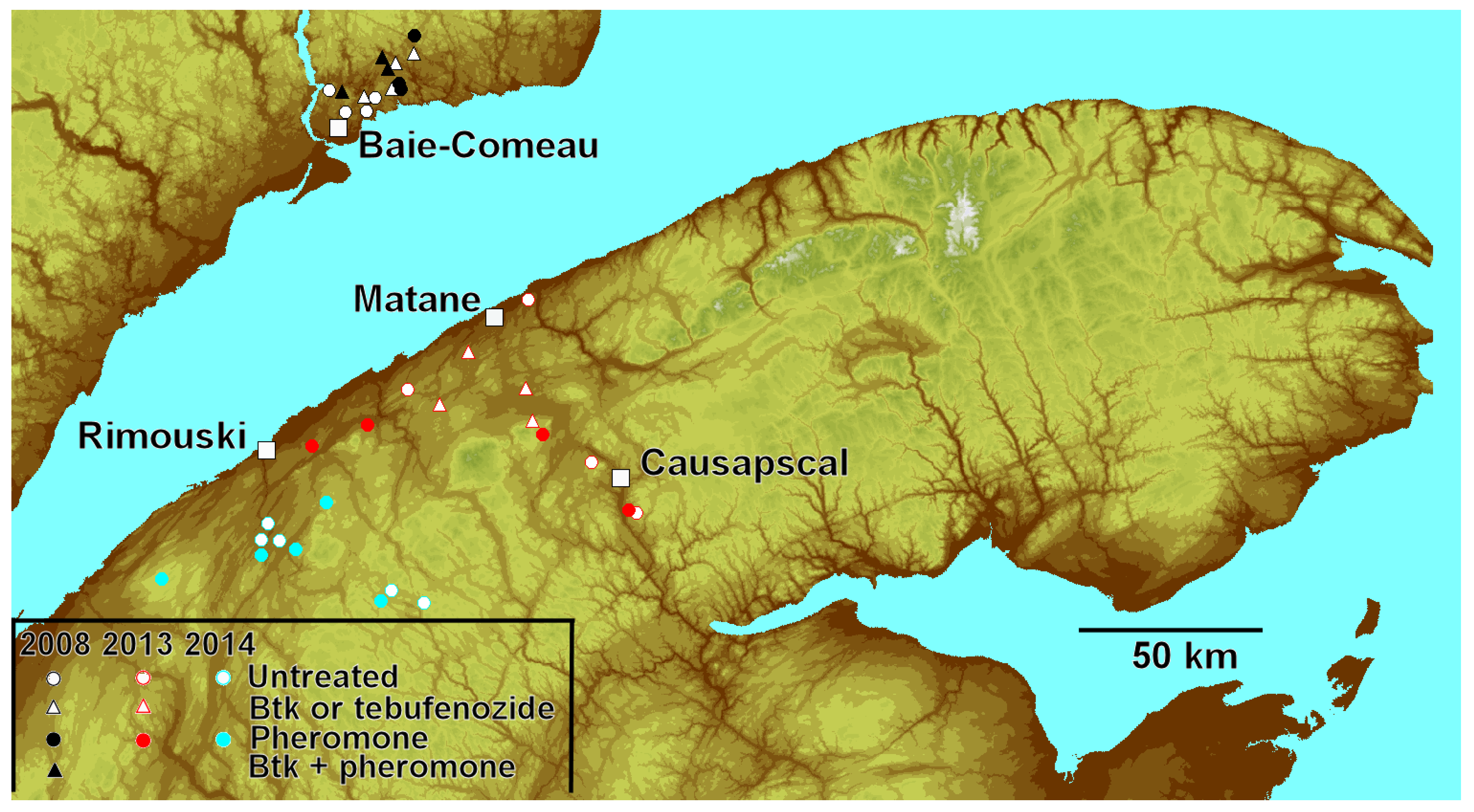 Forests 10 00775 g001 550