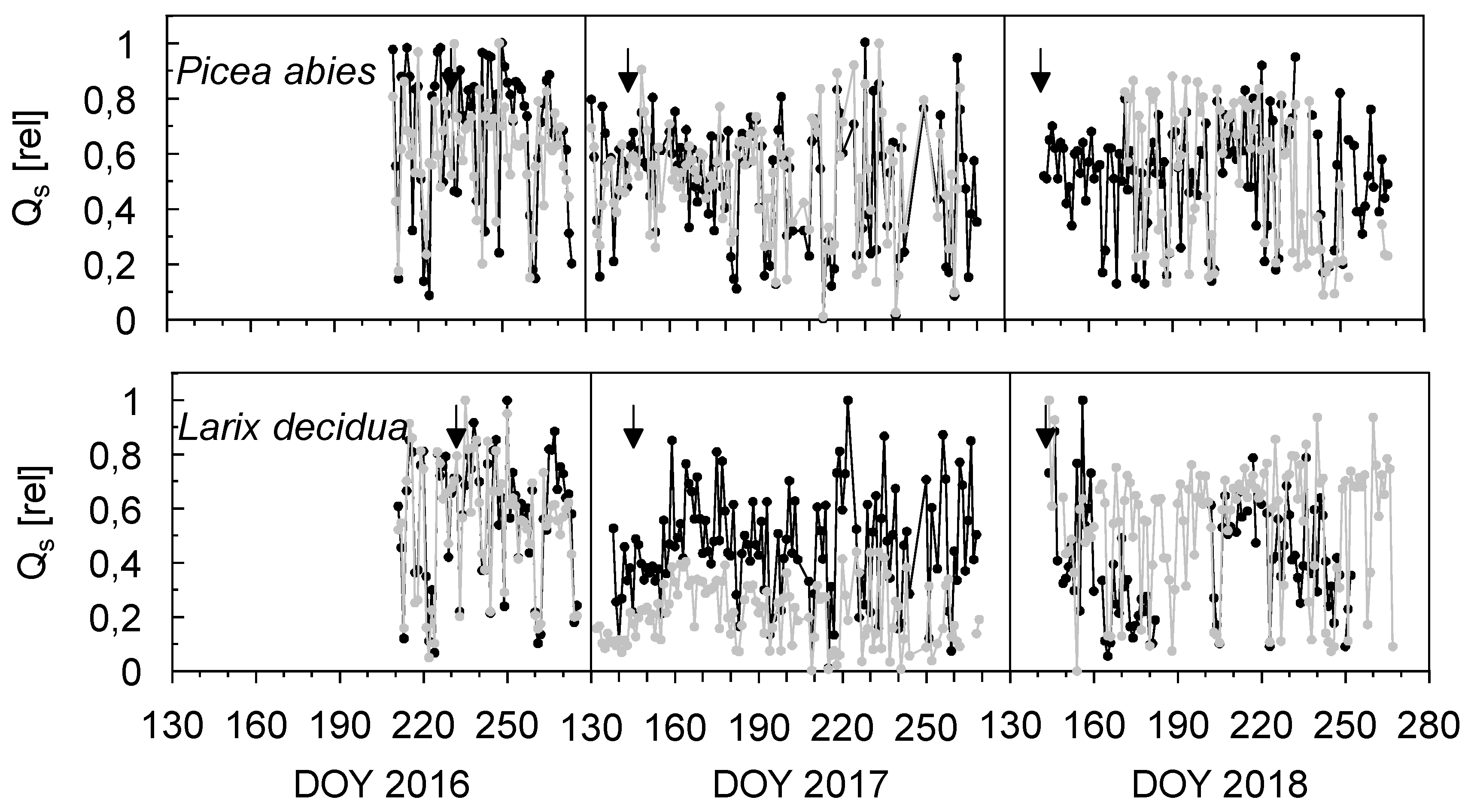 Forests 10 00777 g002 Forests 10 00777 g002