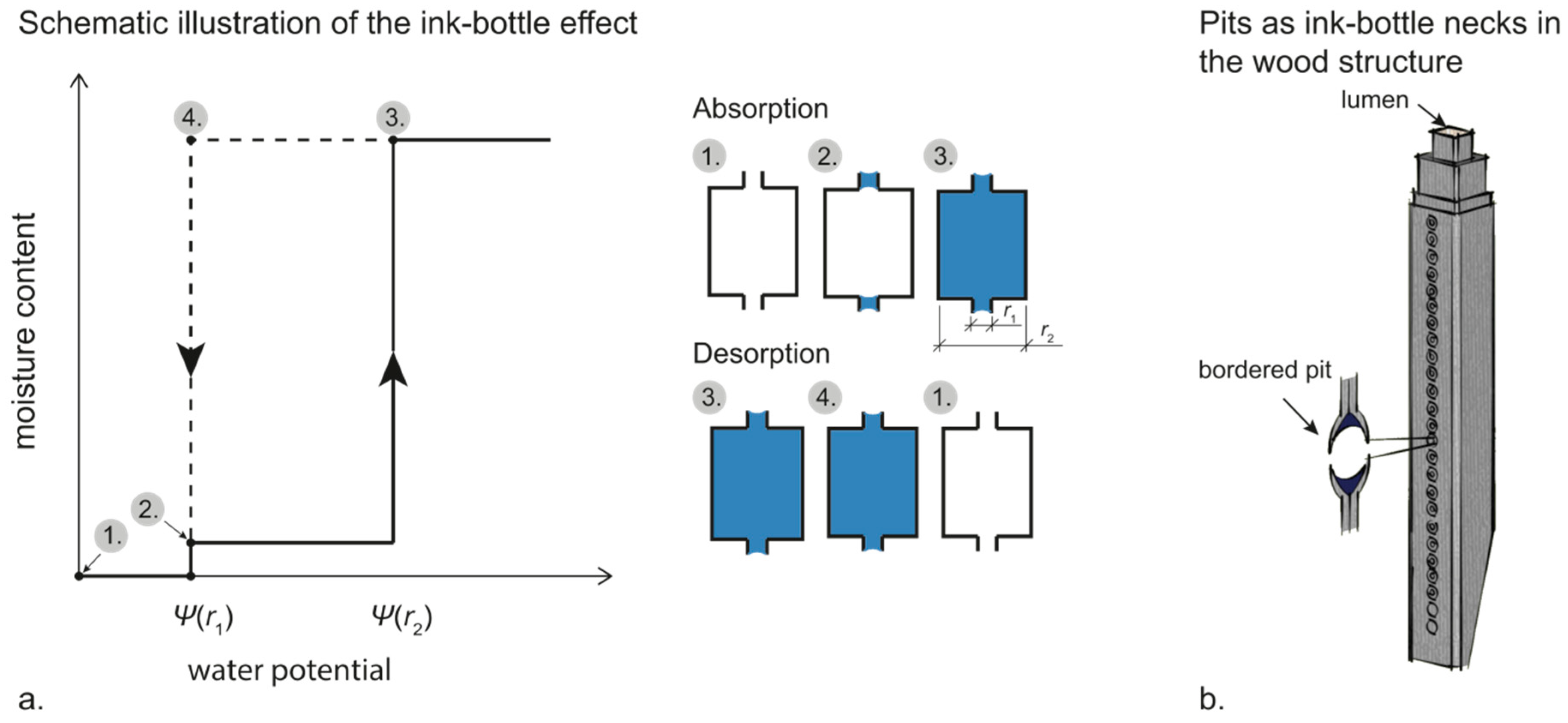 Forests 10 00779 g002 Forests 10 00779 g002