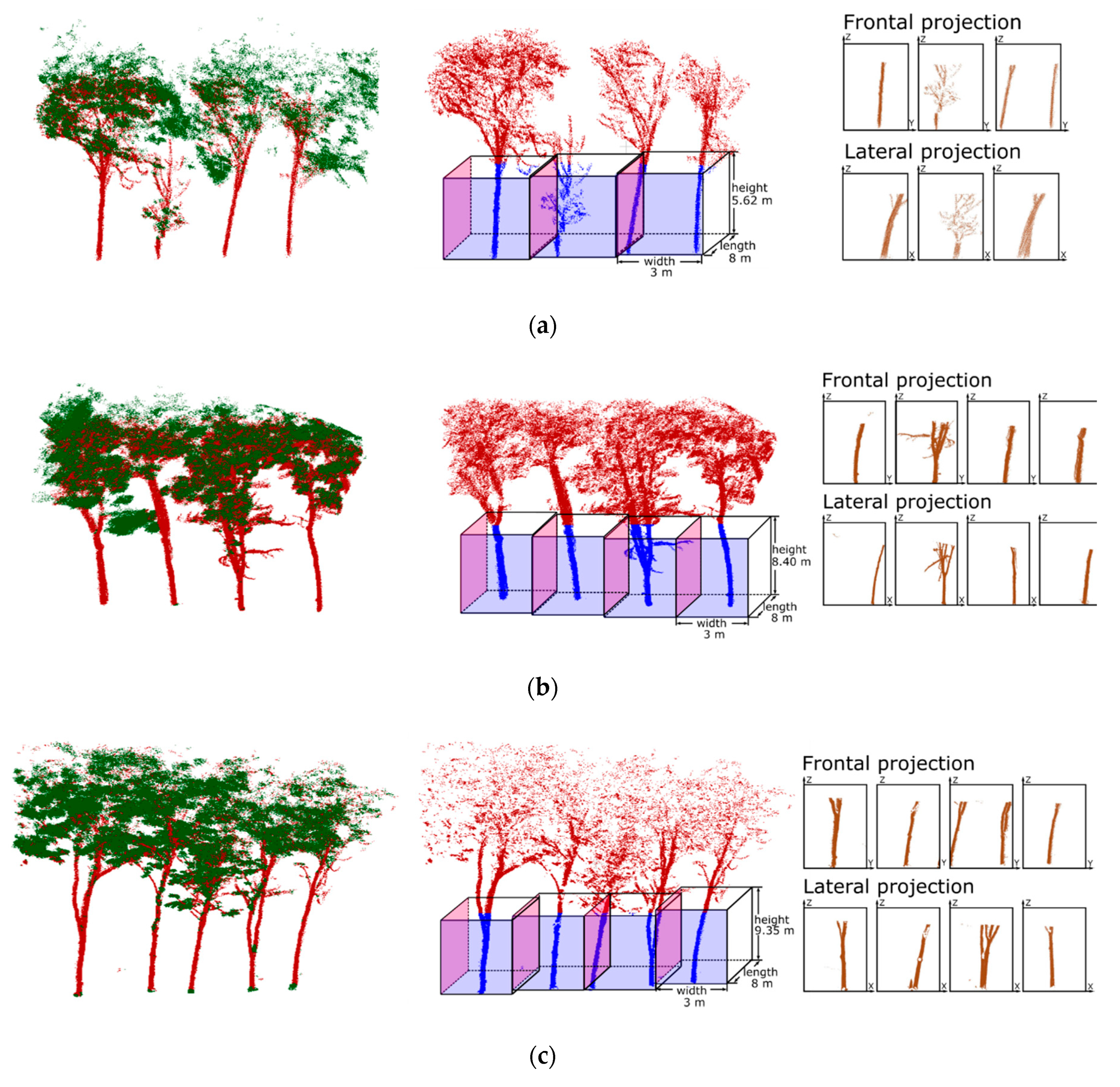 Forests 10 00793 g003