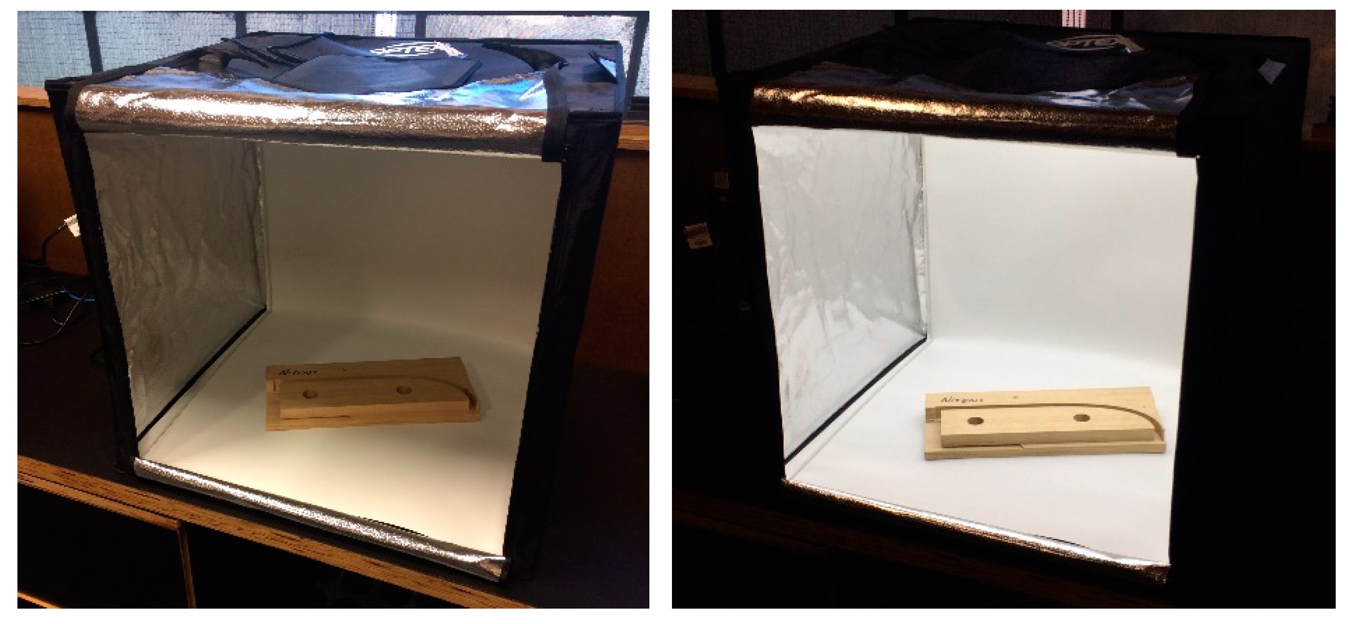 Forests 10 00805 g002 Forests 10 00805 g002