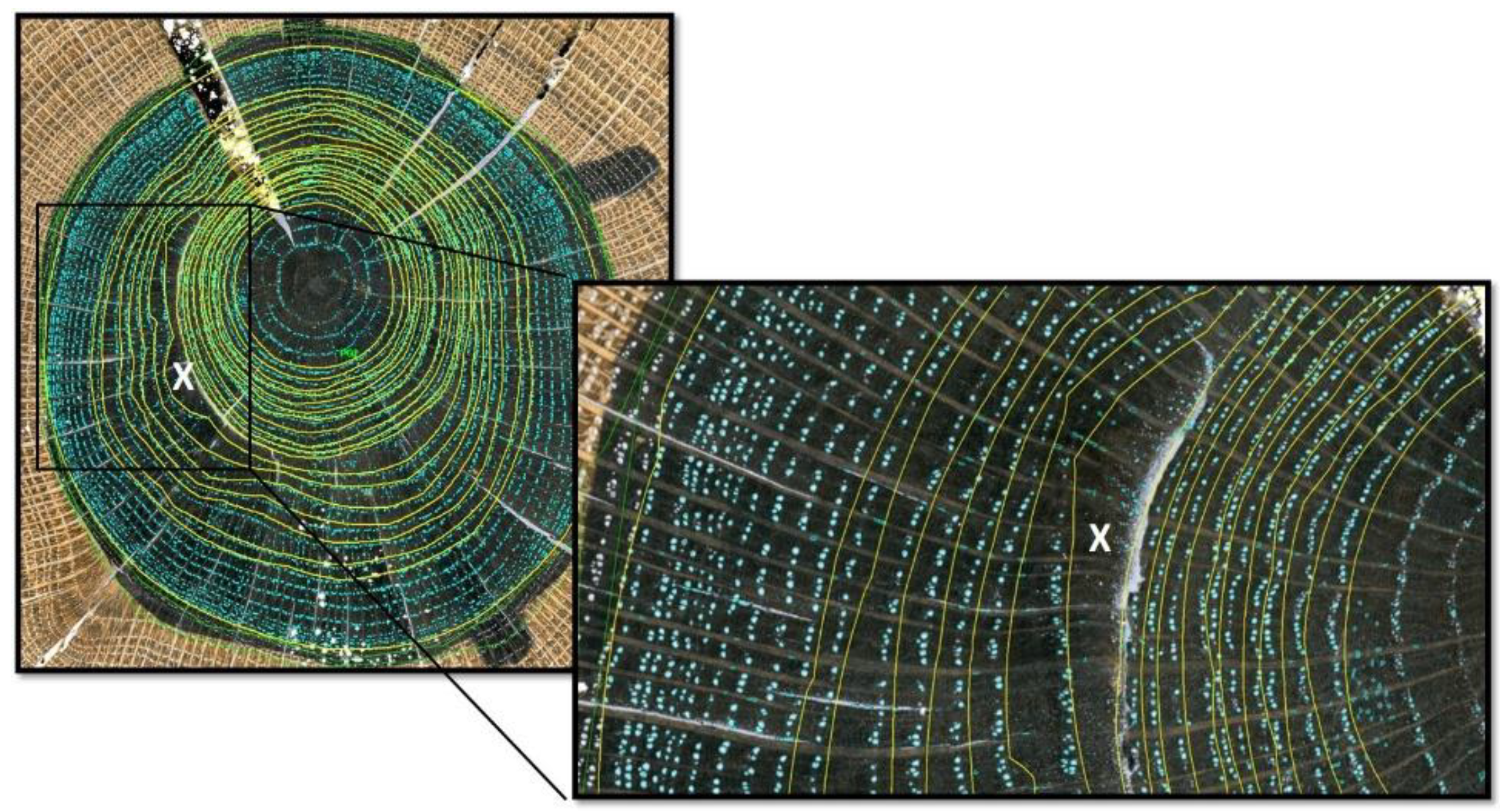 Forests 10 00812 g002