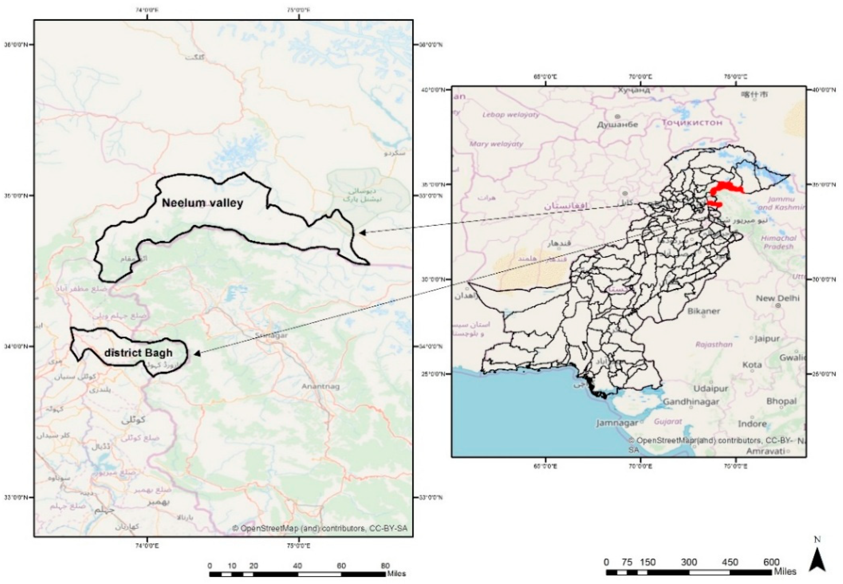 Forests 10 00813 g001 Forests 10 00813 g001