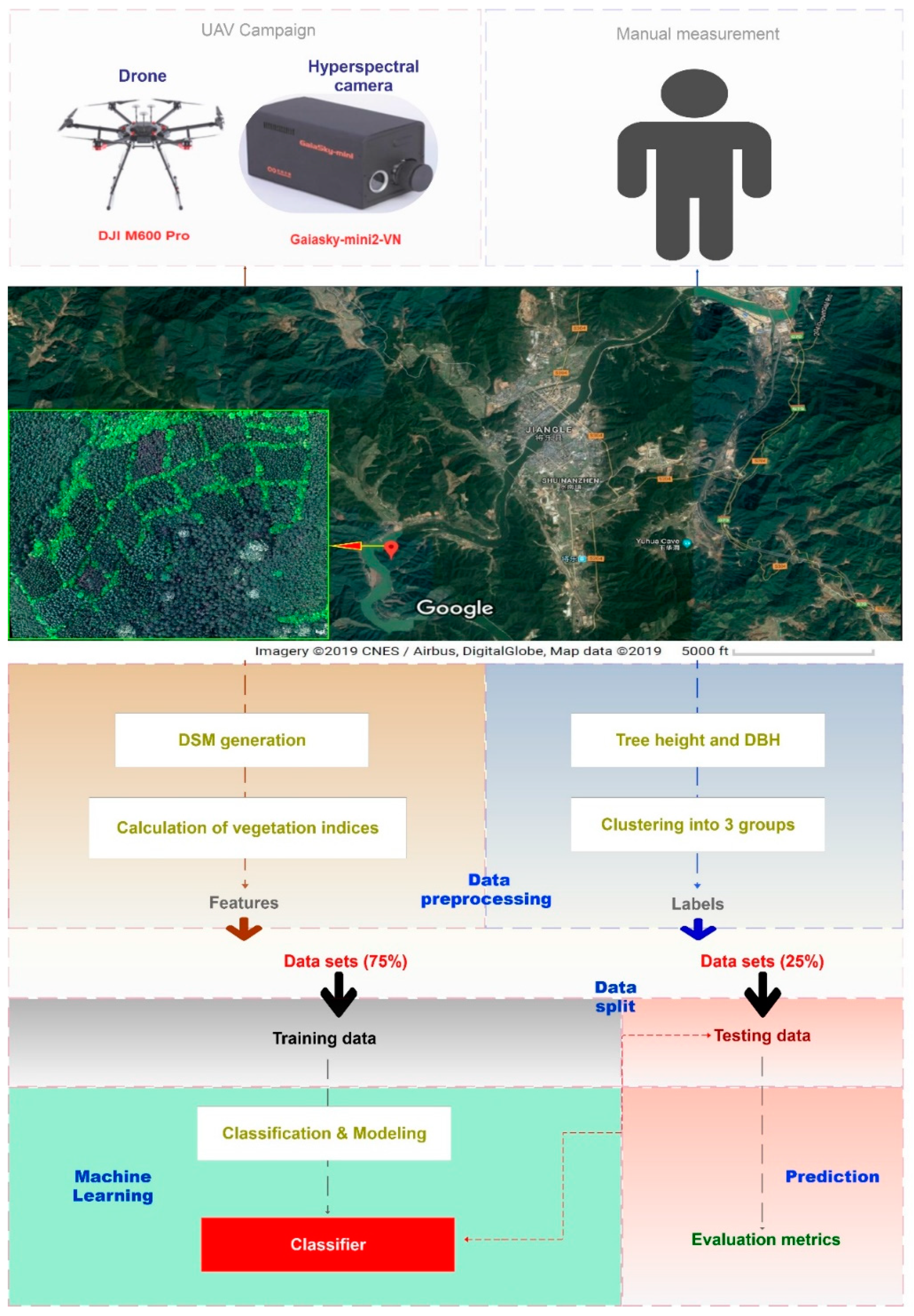 Forests 10 00815 g001 Forests 10 00815 g001