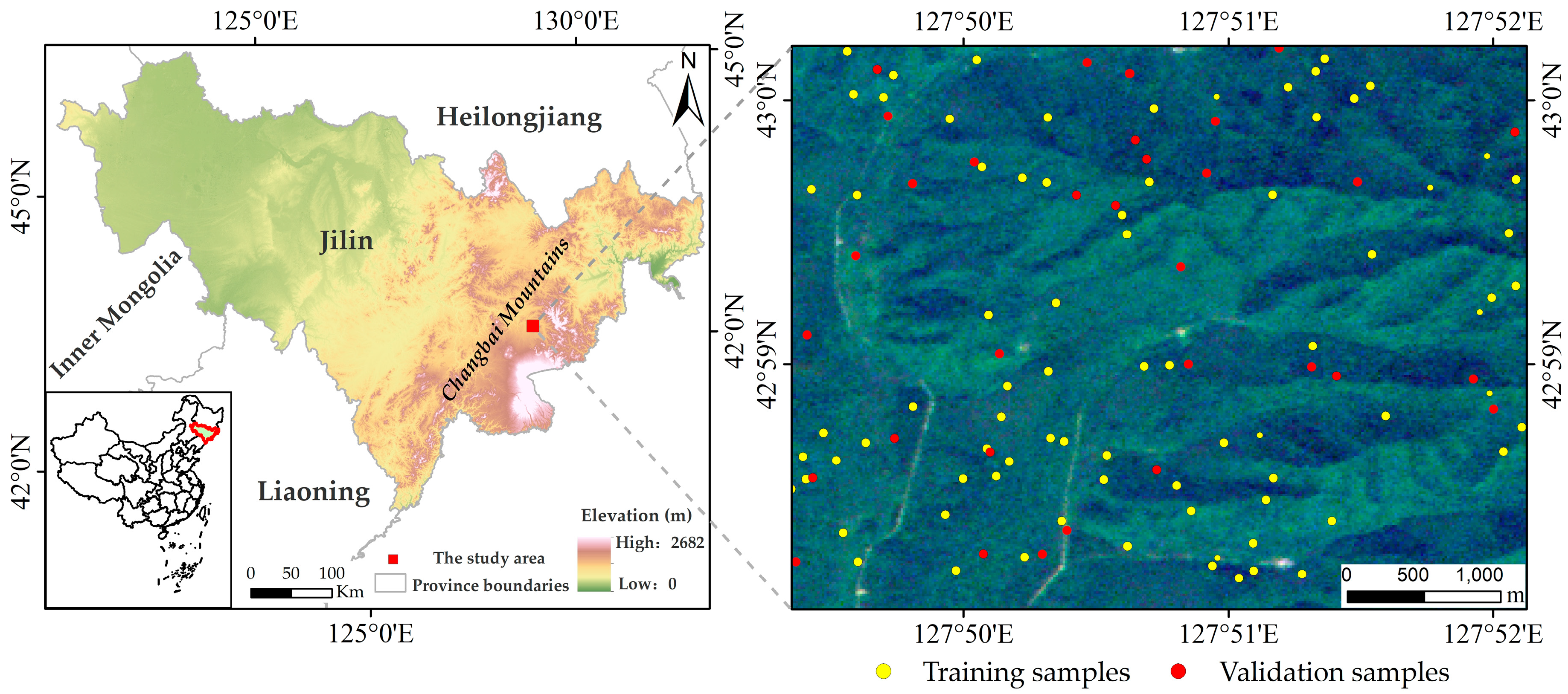 Forests 10 00818 g001 Forests 10 00818 g001