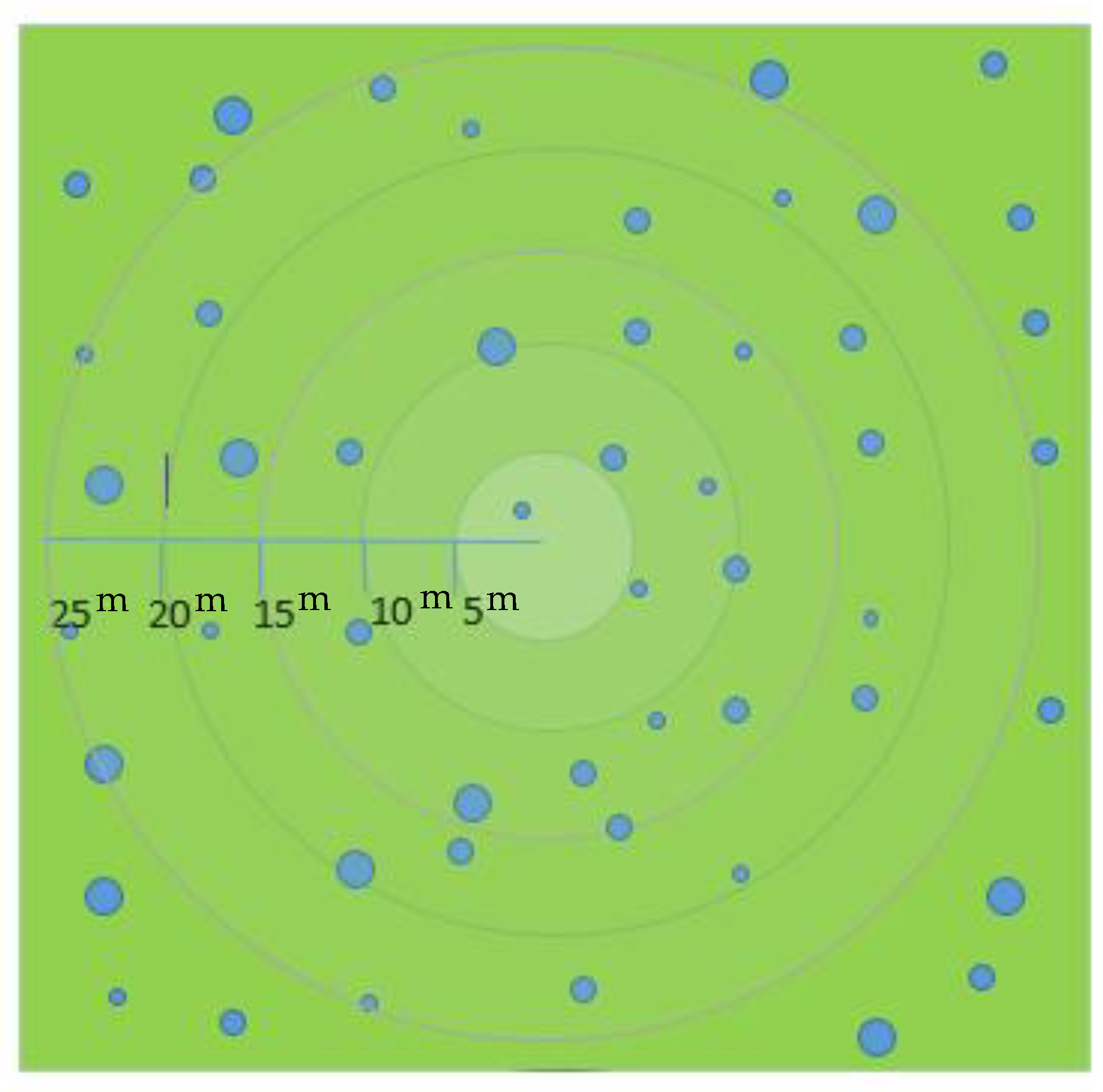 Forests 10 00819 g003