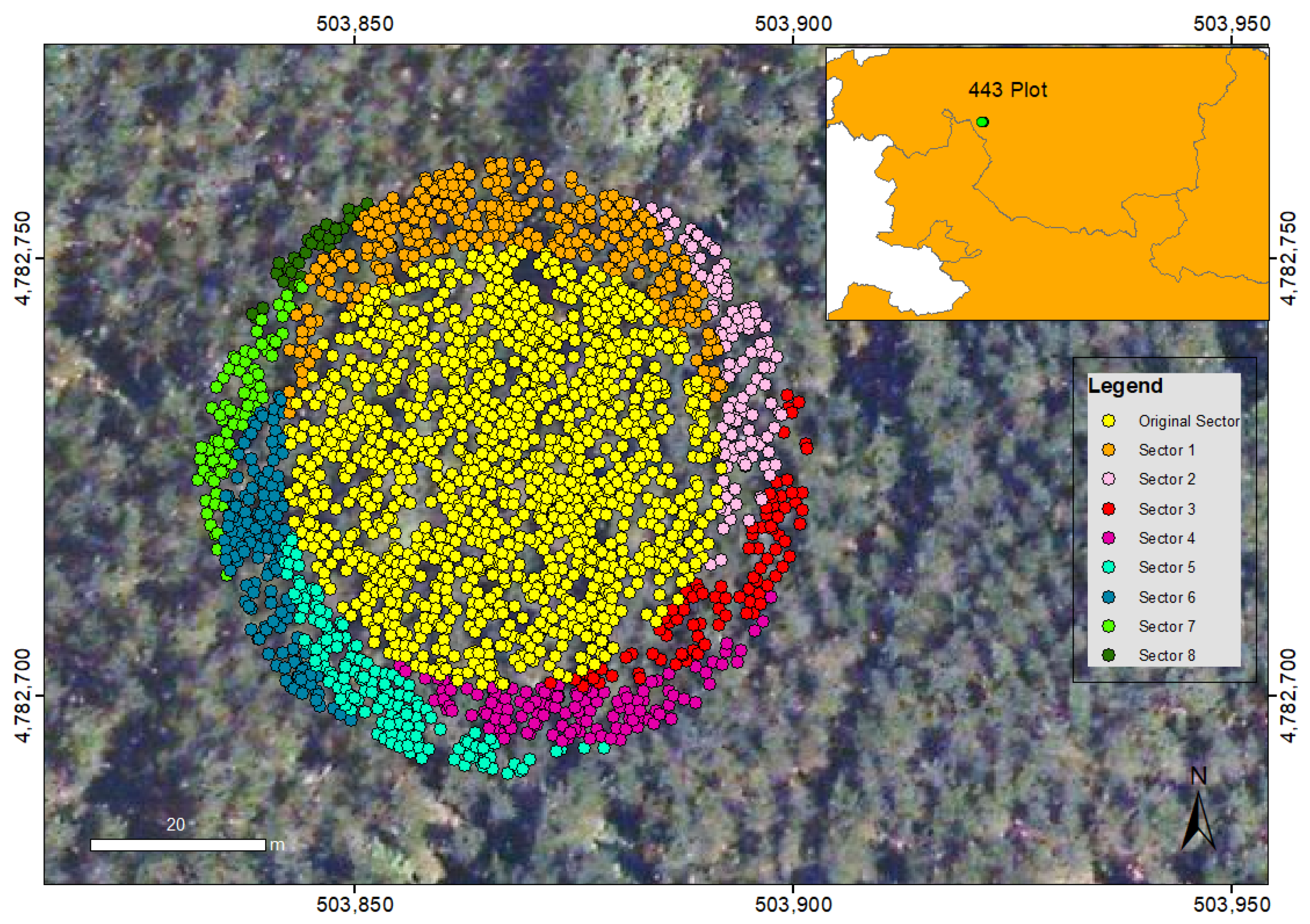 Forests 10 00819 g006