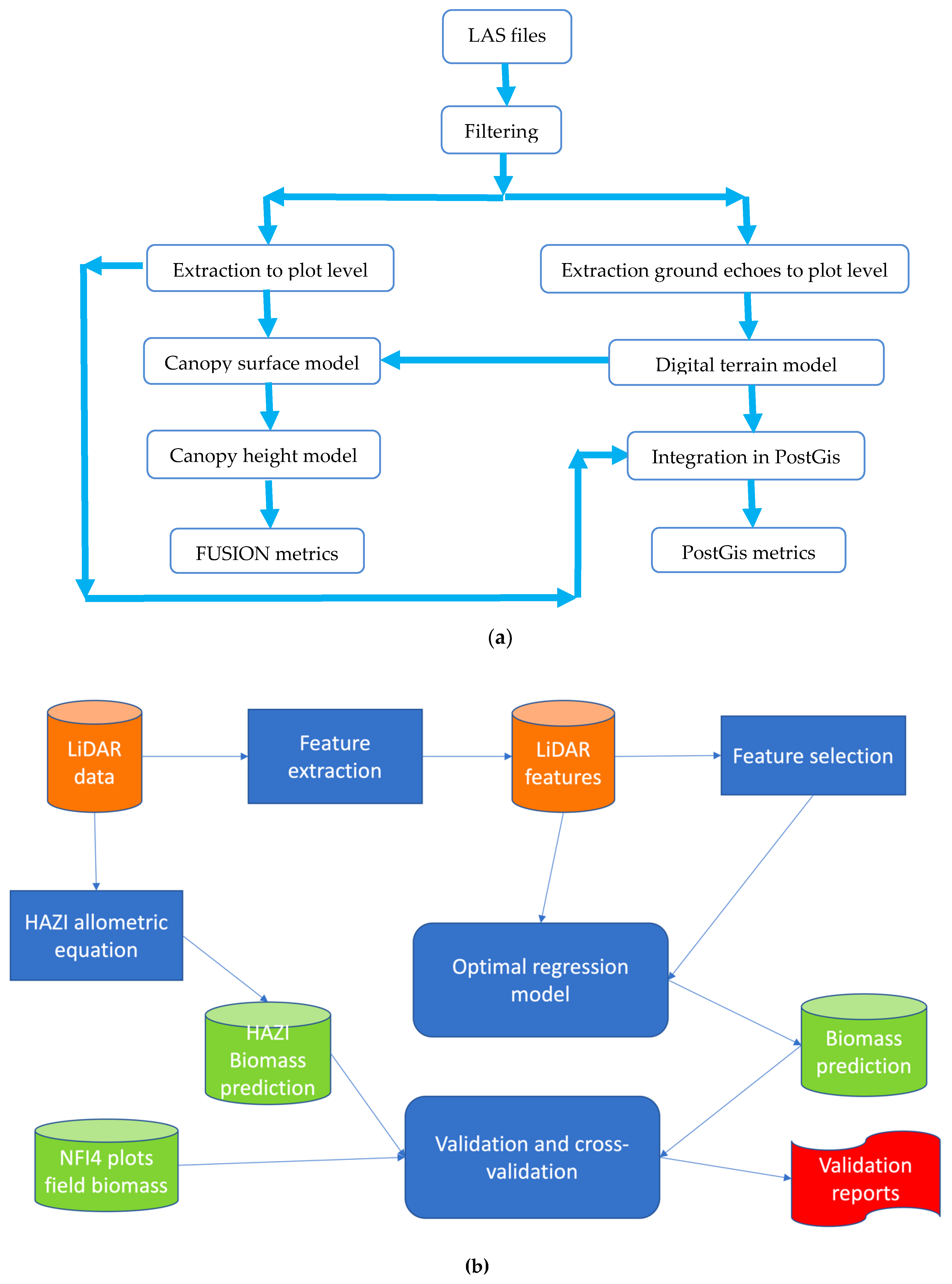Forests 10 00819 g007