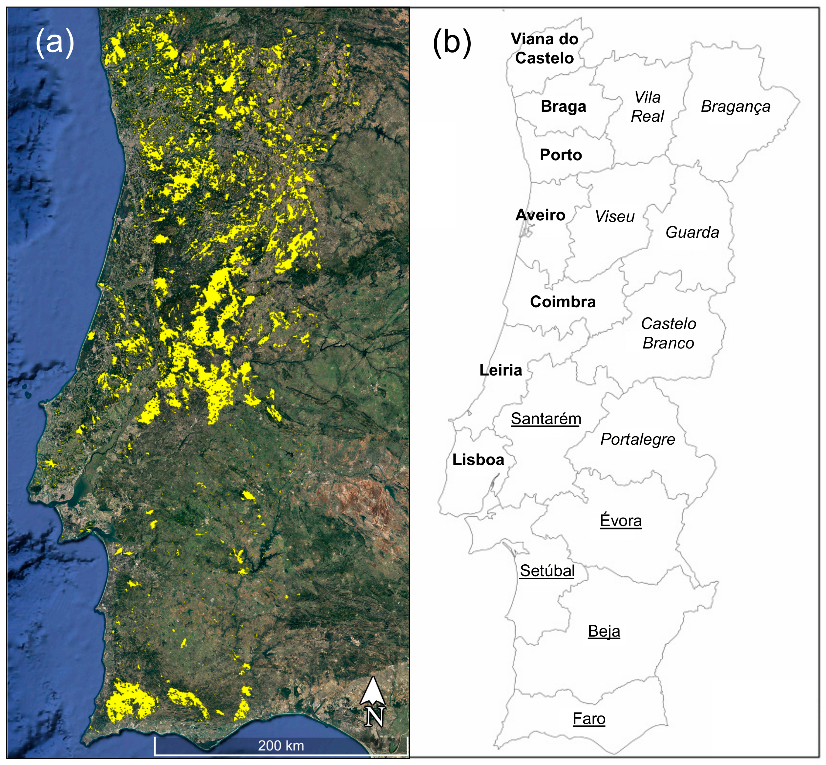 Forests 10 00838 g001