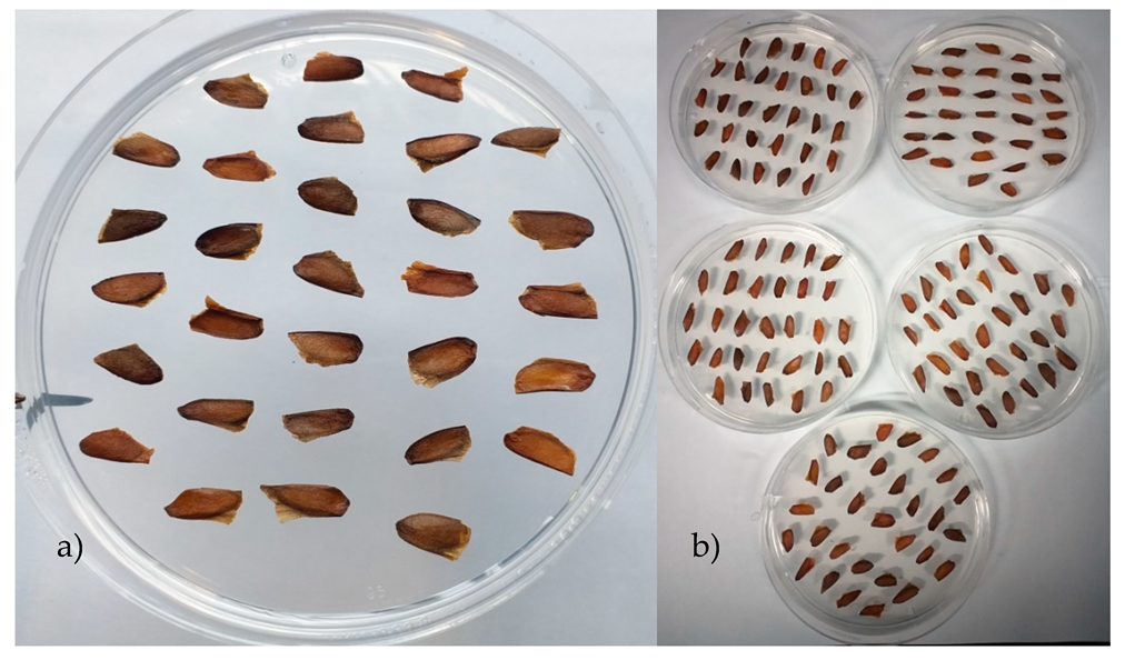 Forests 10 00841 g002 Forests 10 00841 g002