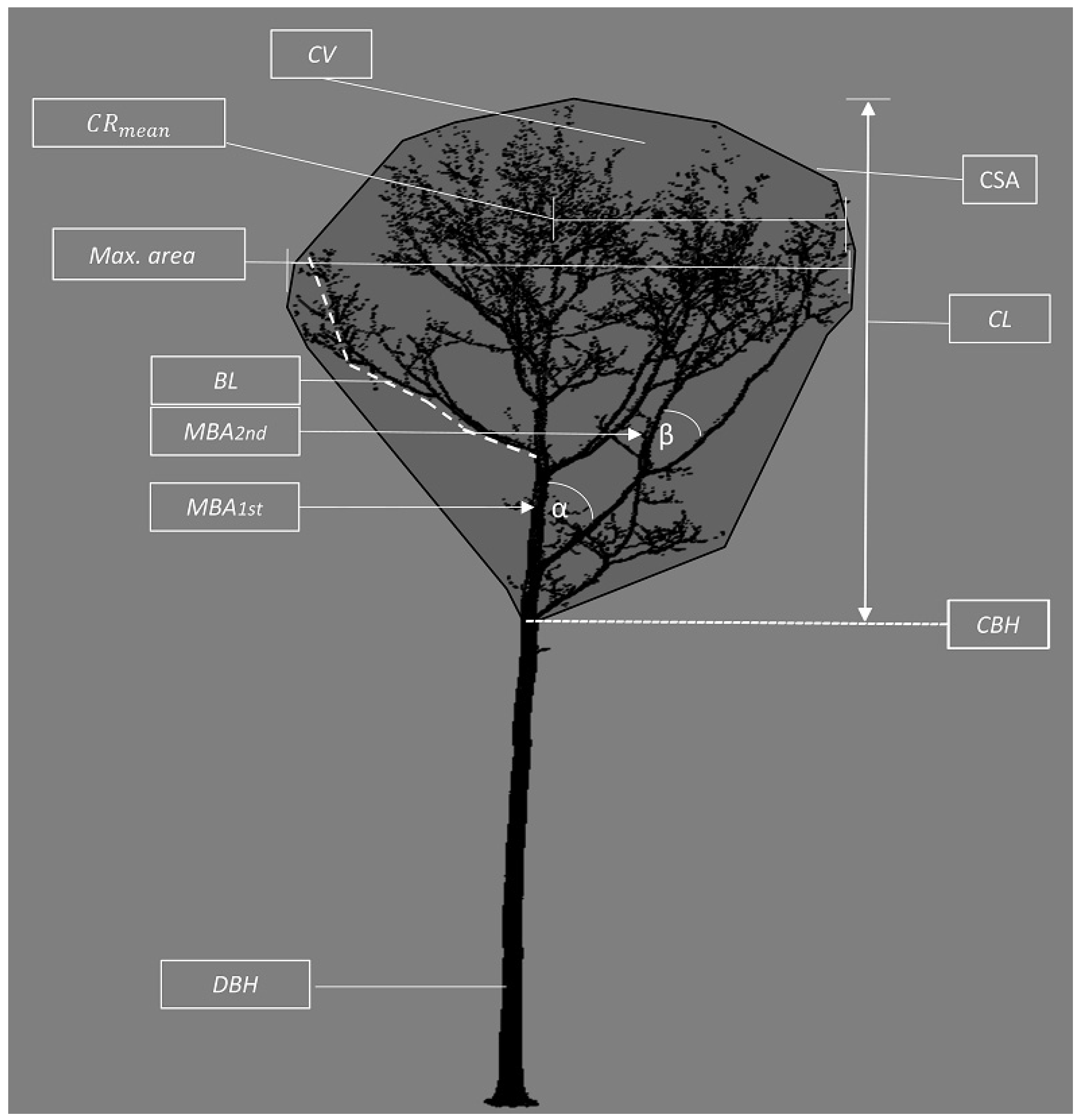 Forests 10 00846 g002 Forests 10 00846 g002