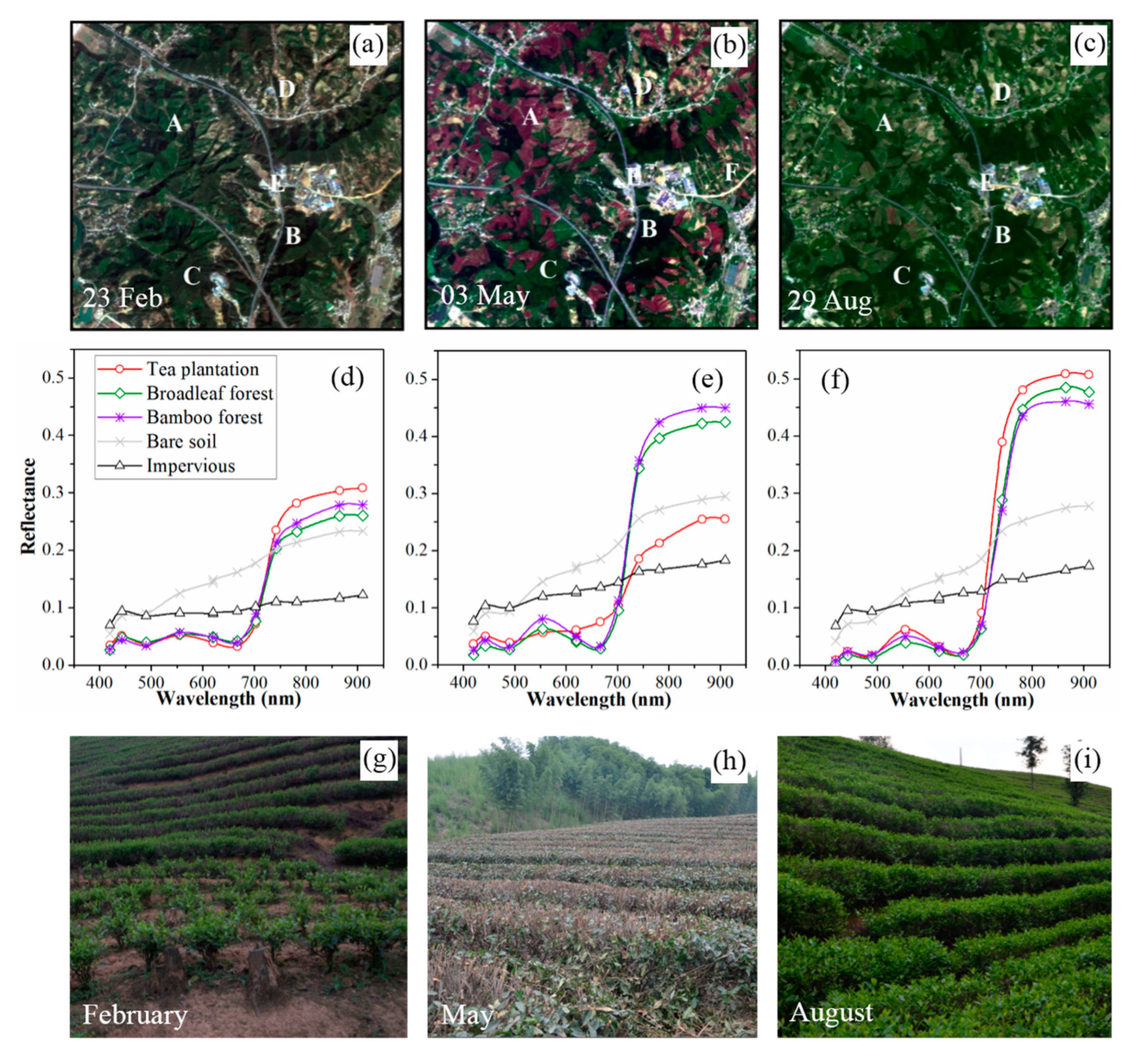 Forests 10 00856 g002