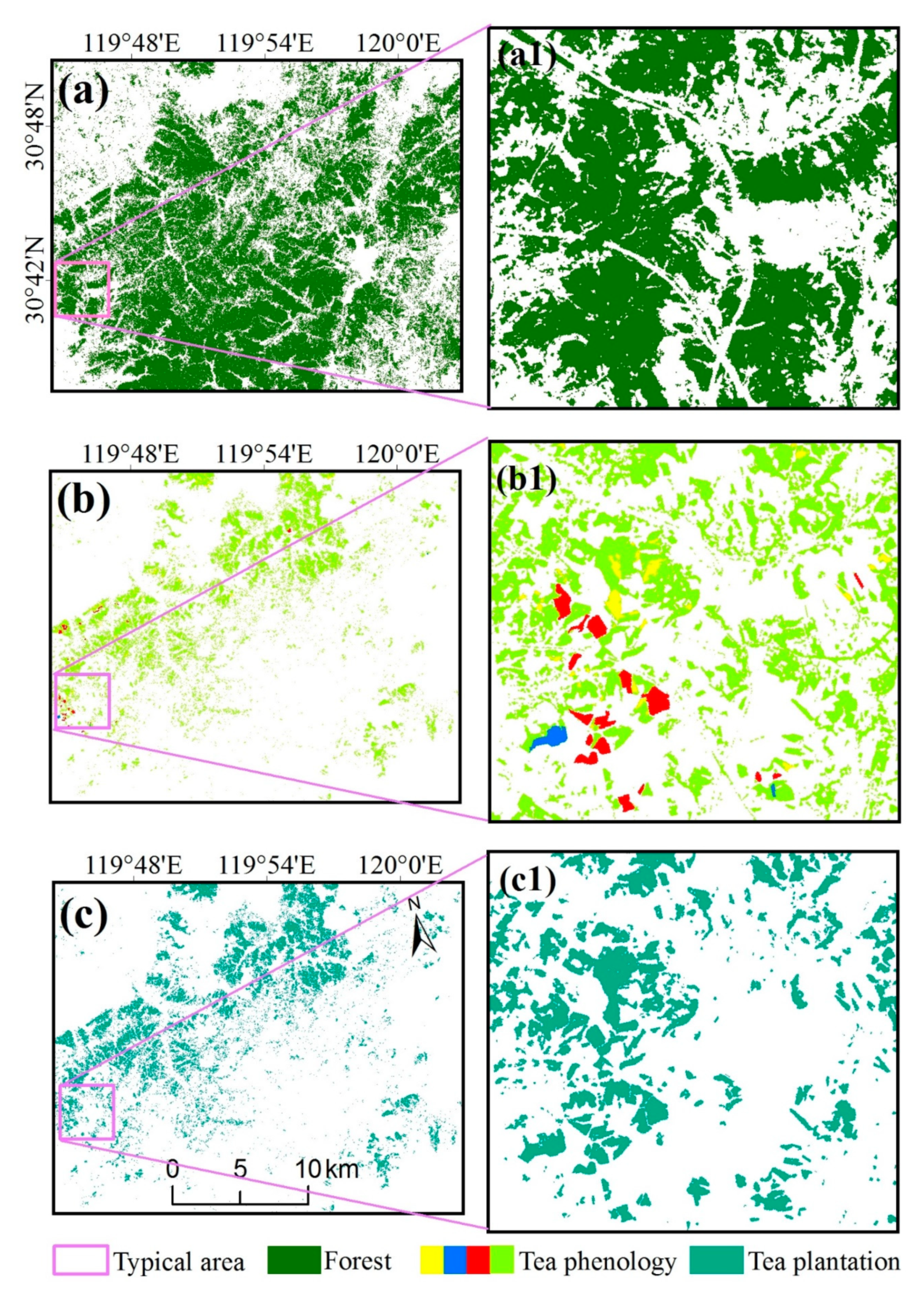 Forests 10 00856 g005