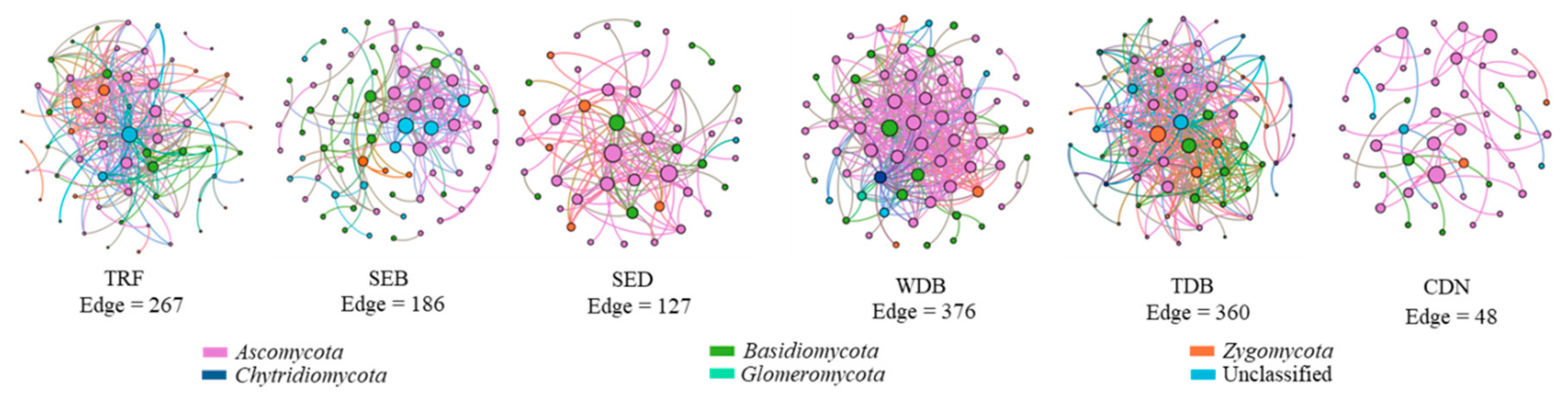 Forests 10 00863 g007