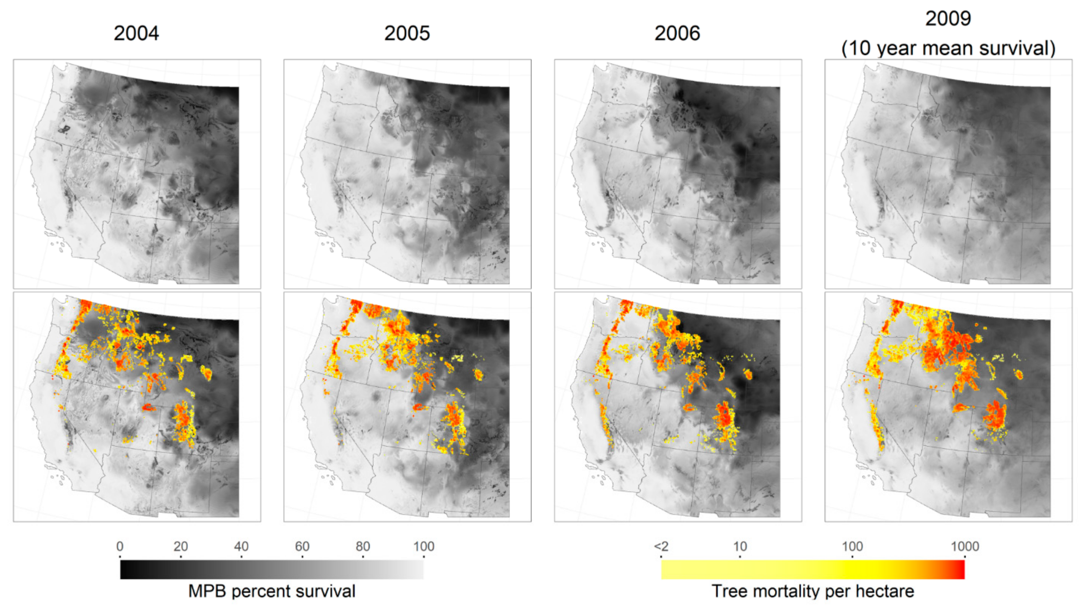 Modeling cold tolerance in the mountain pine beetle, Dendroctonus