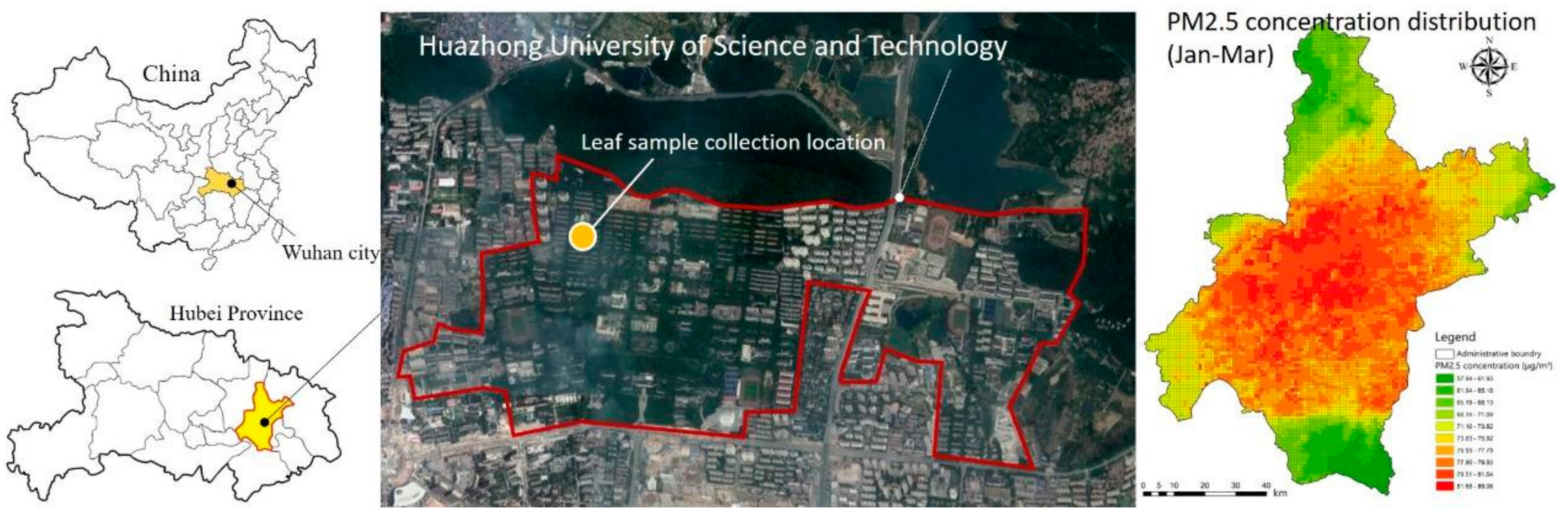 Forests 10 00875 g001