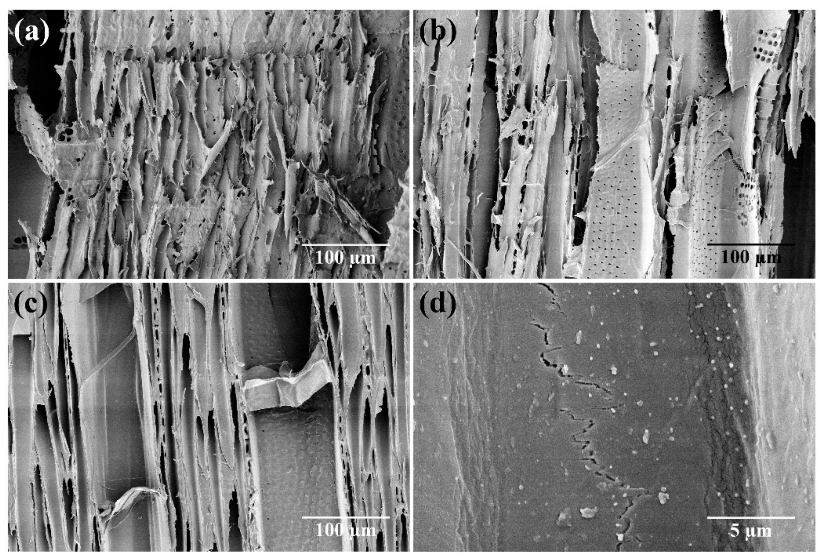 Forests 10 00885 g002 Forests 10 00885 g002