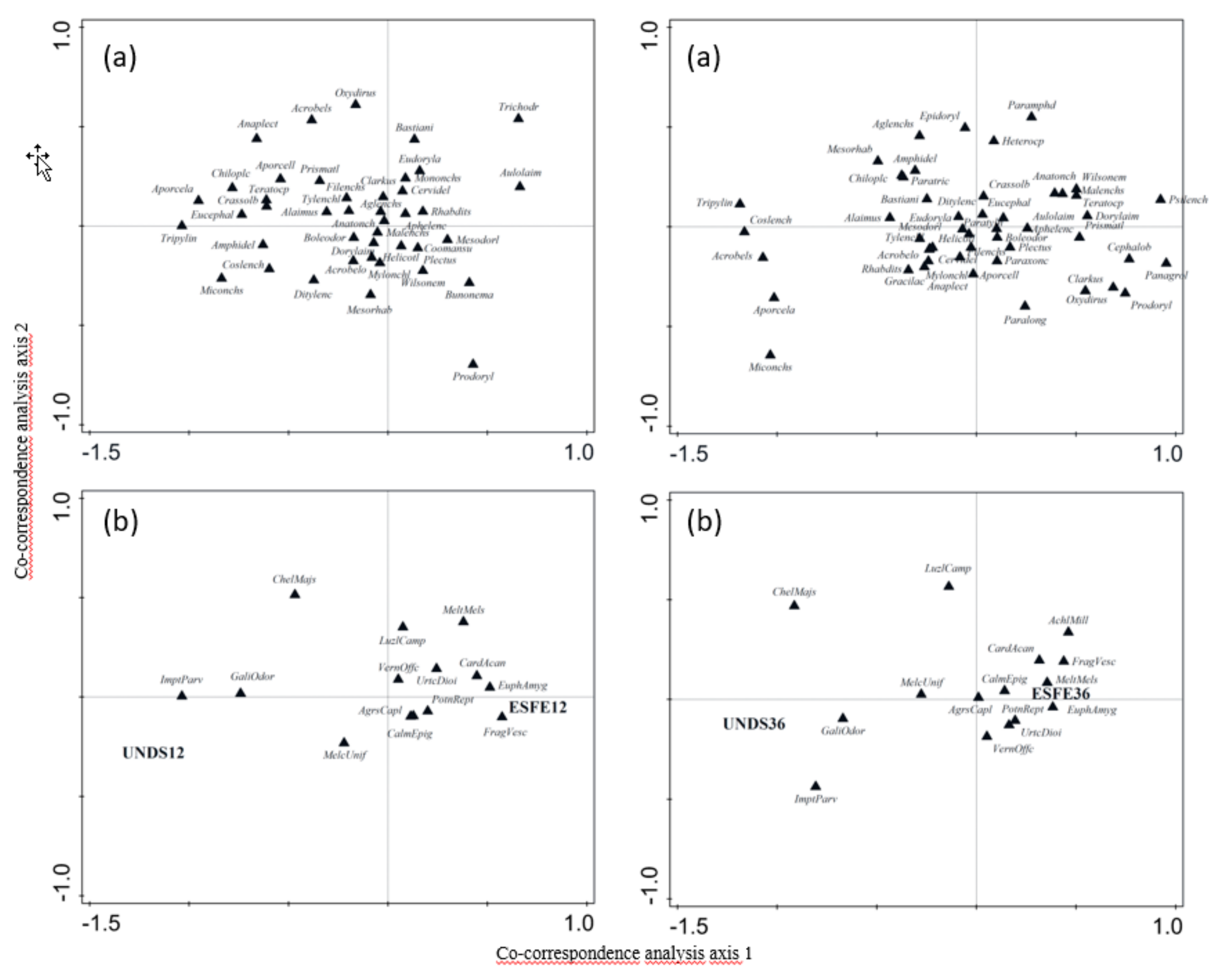 Forests 10 00888 g004