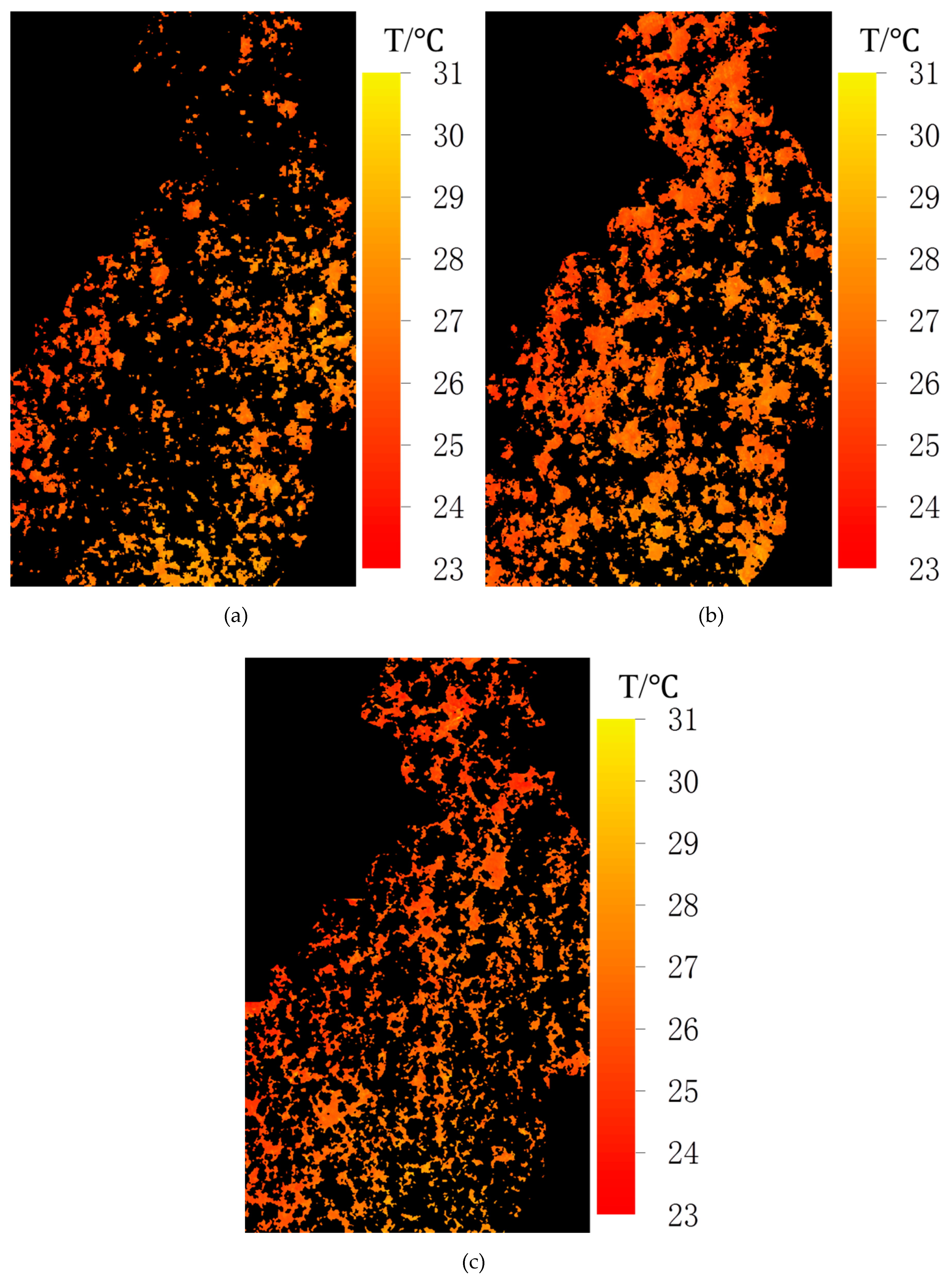 Forests 10 00890 g002