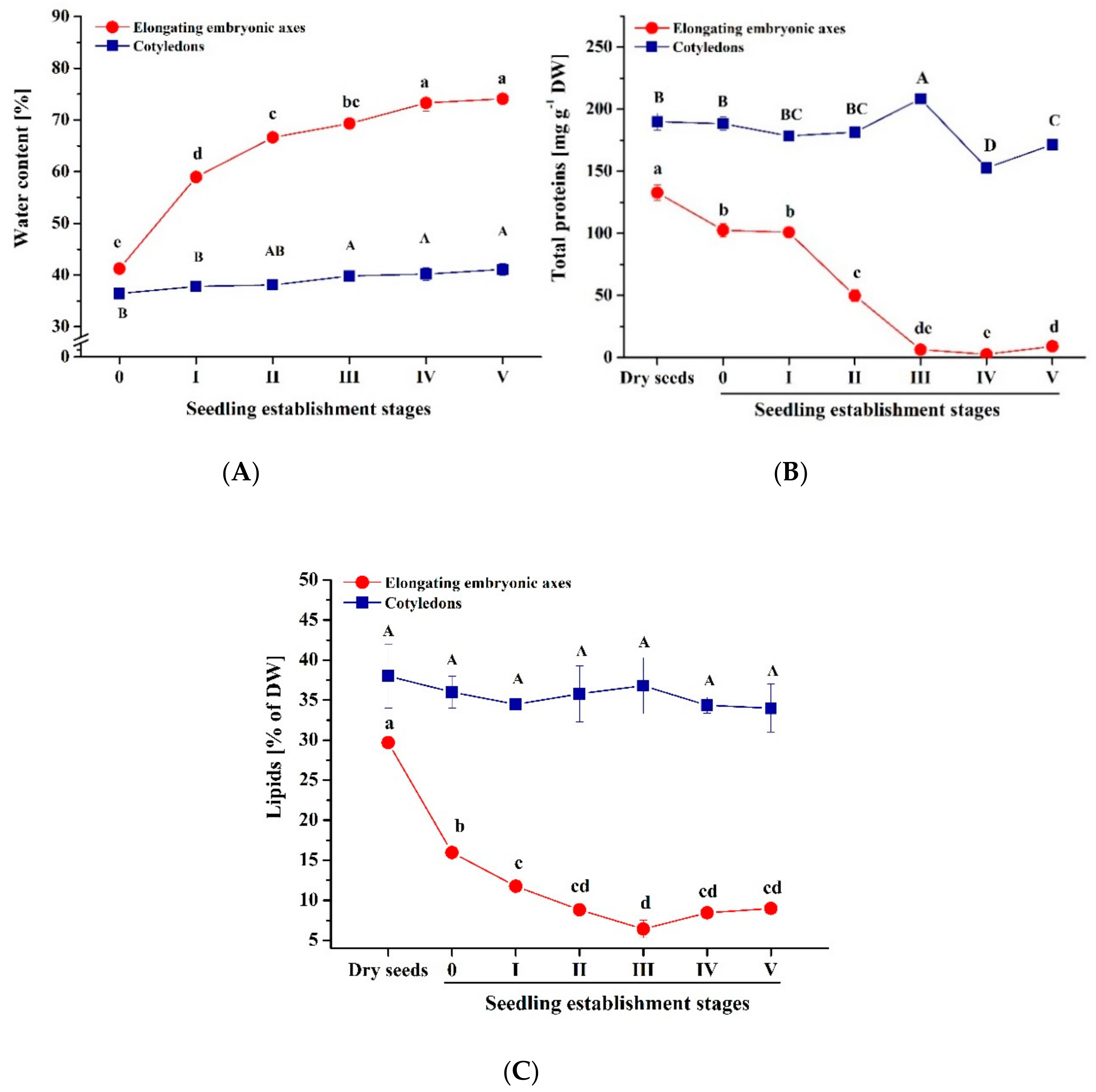 Forests 10 00900 g001