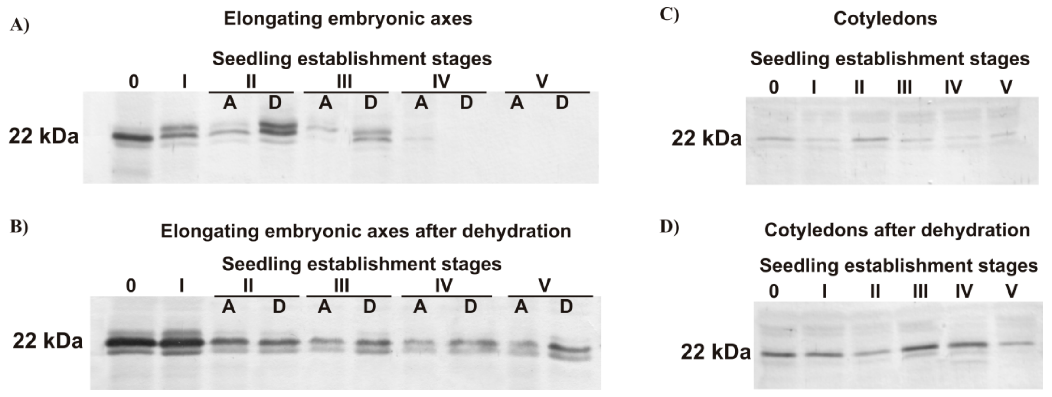 Forests 10 00900 g005