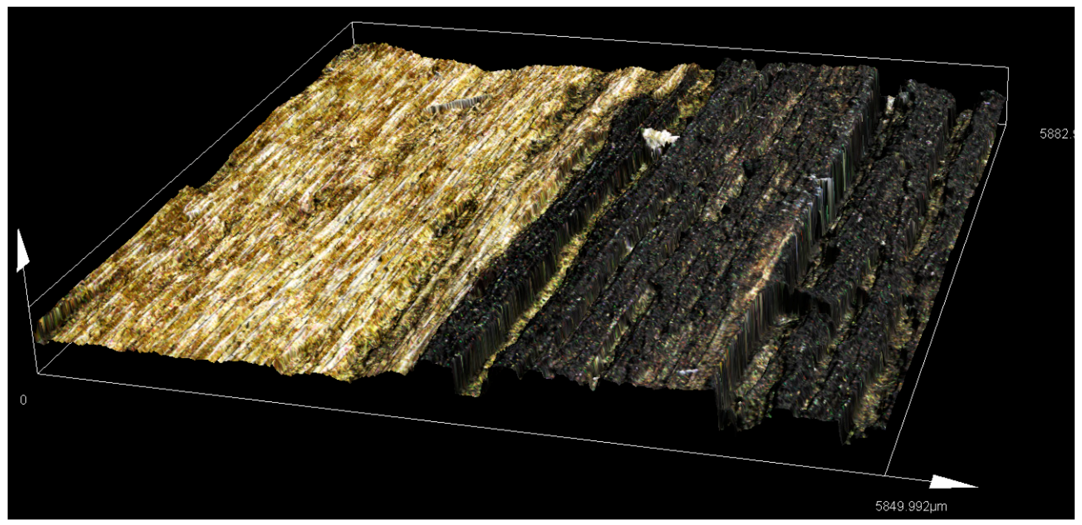 Forests 10 00903 g005