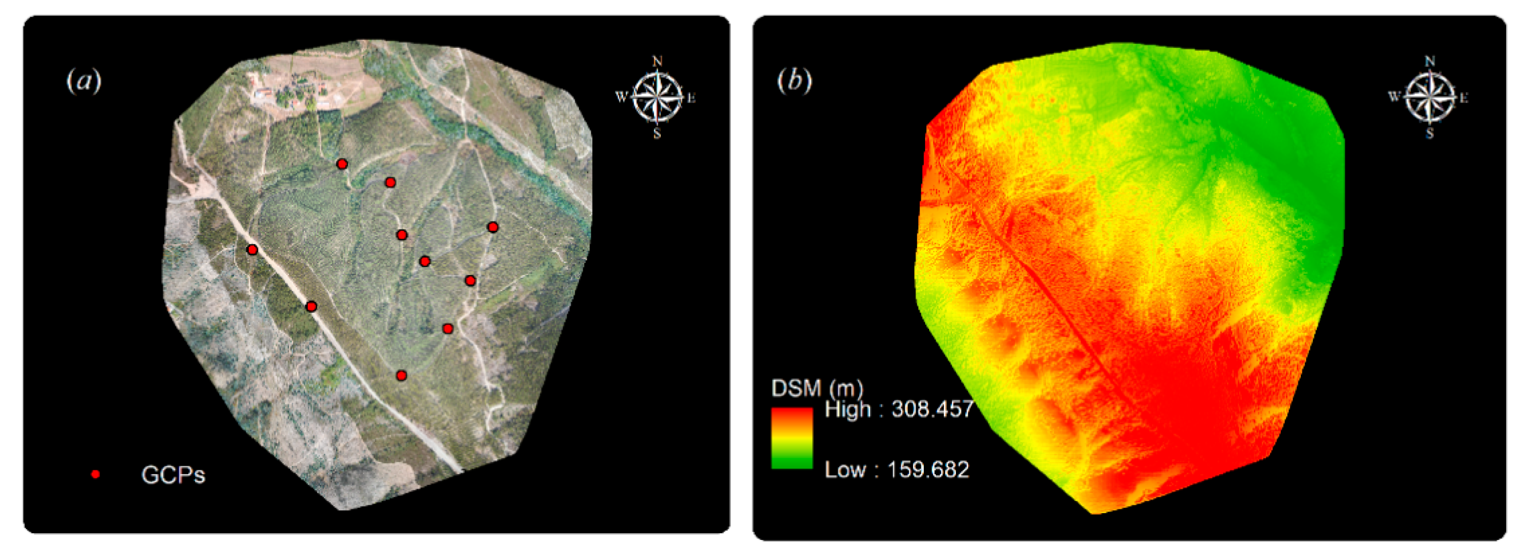 Forests 10 00905 g001