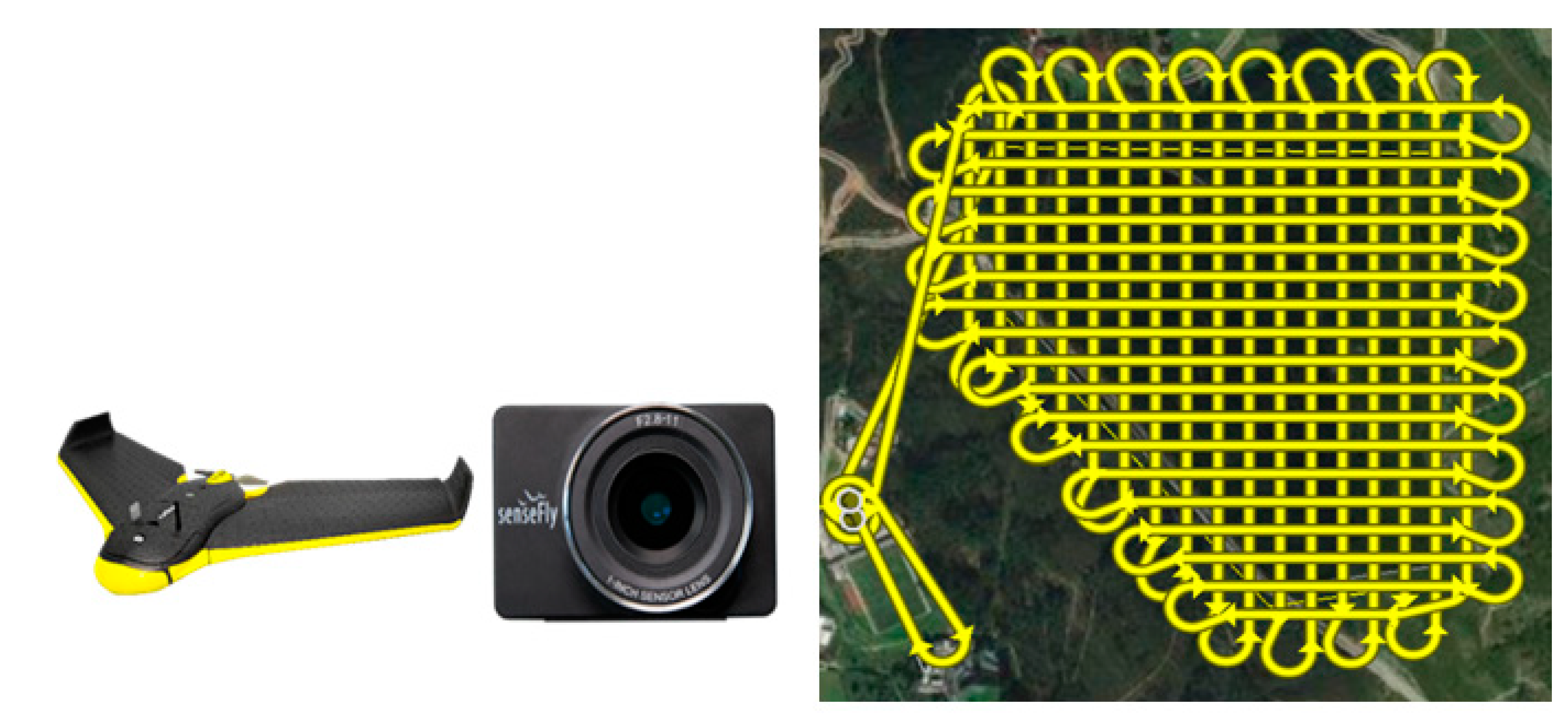 Forests 10 00905 g002