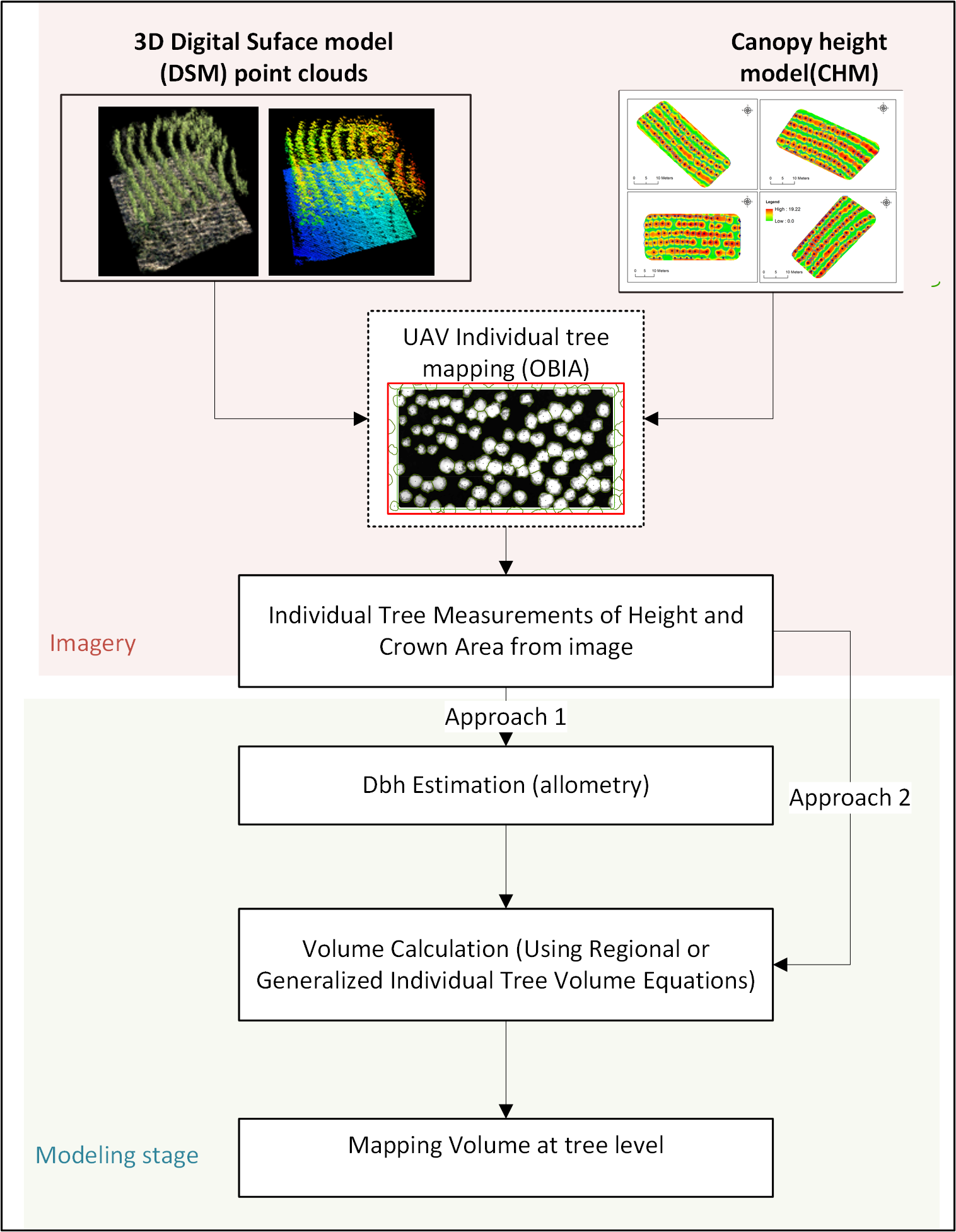 Forests 10 00905 g004