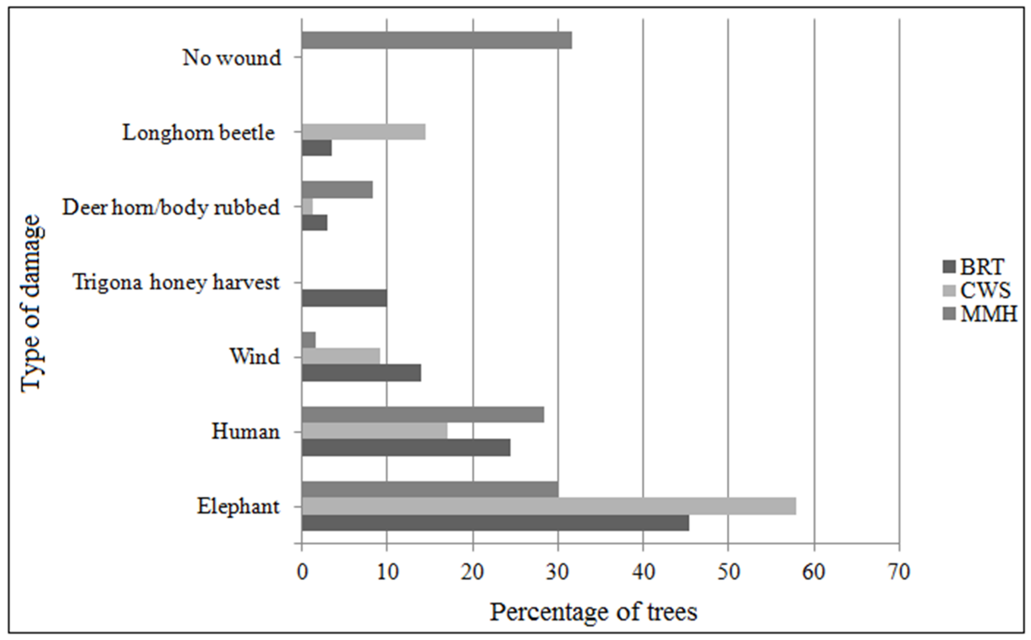Forests 10 00907 g006 Forests 10 00907 g006