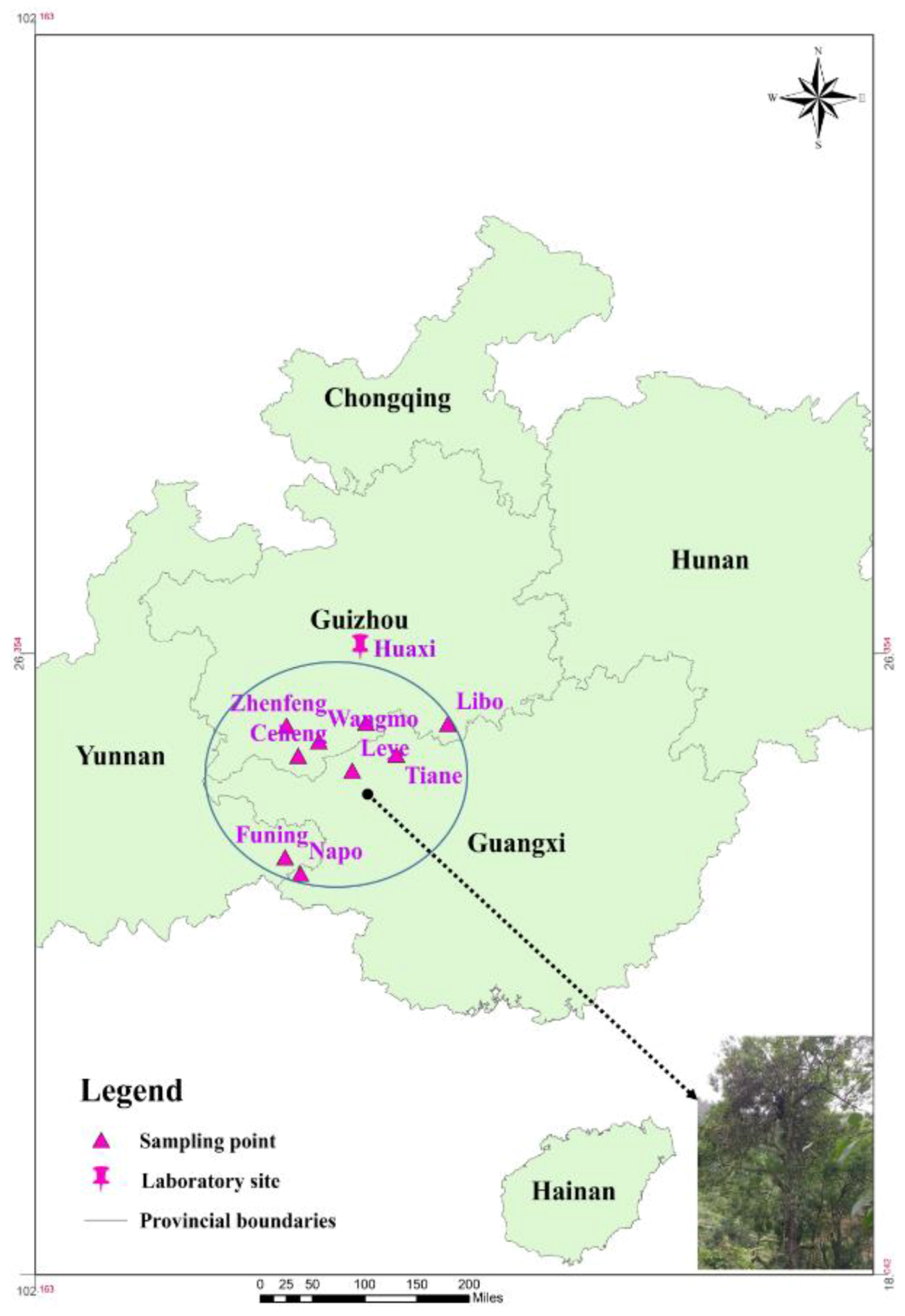 Forests 10 00919 g002