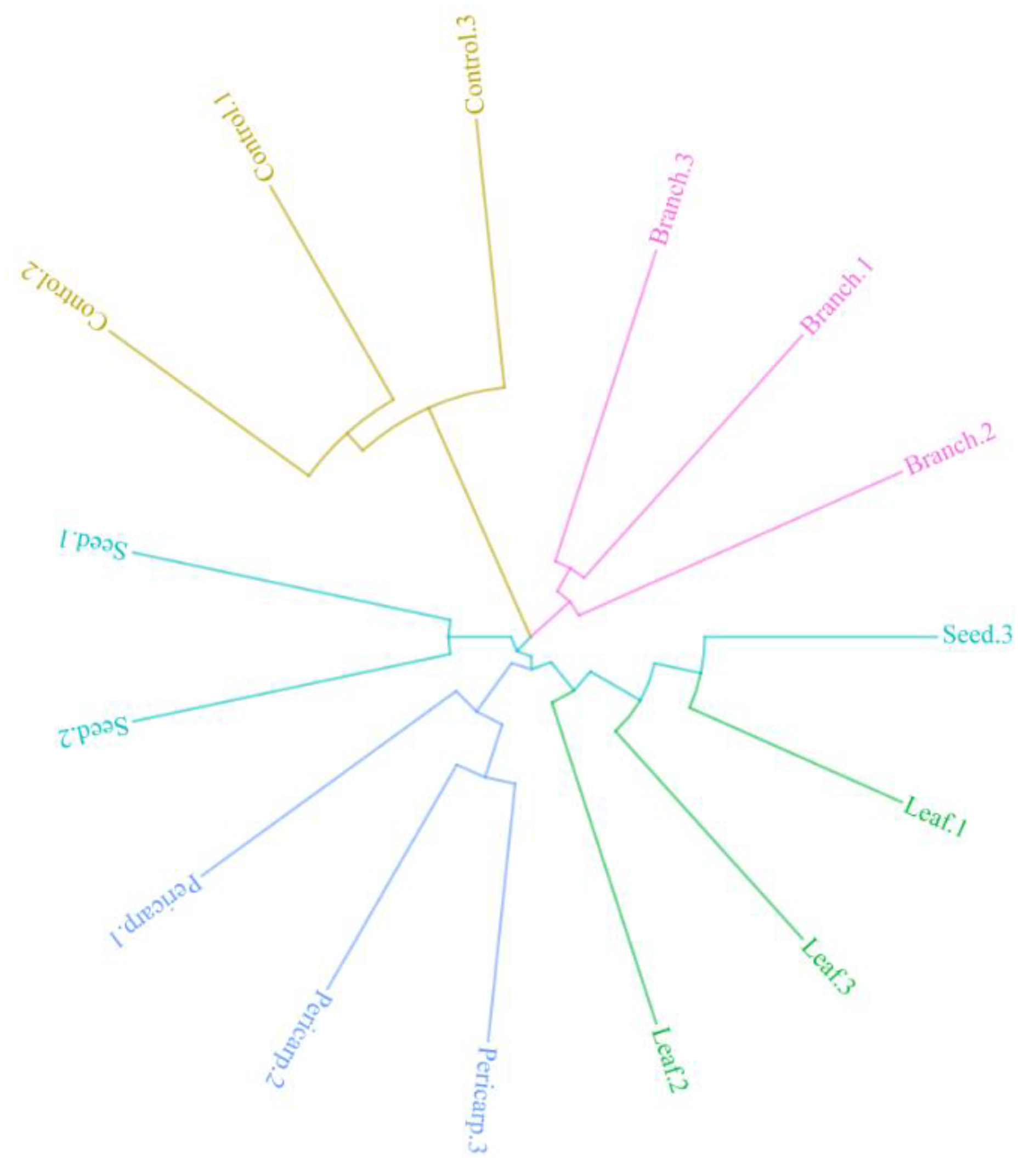 Forests 10 00919 g007