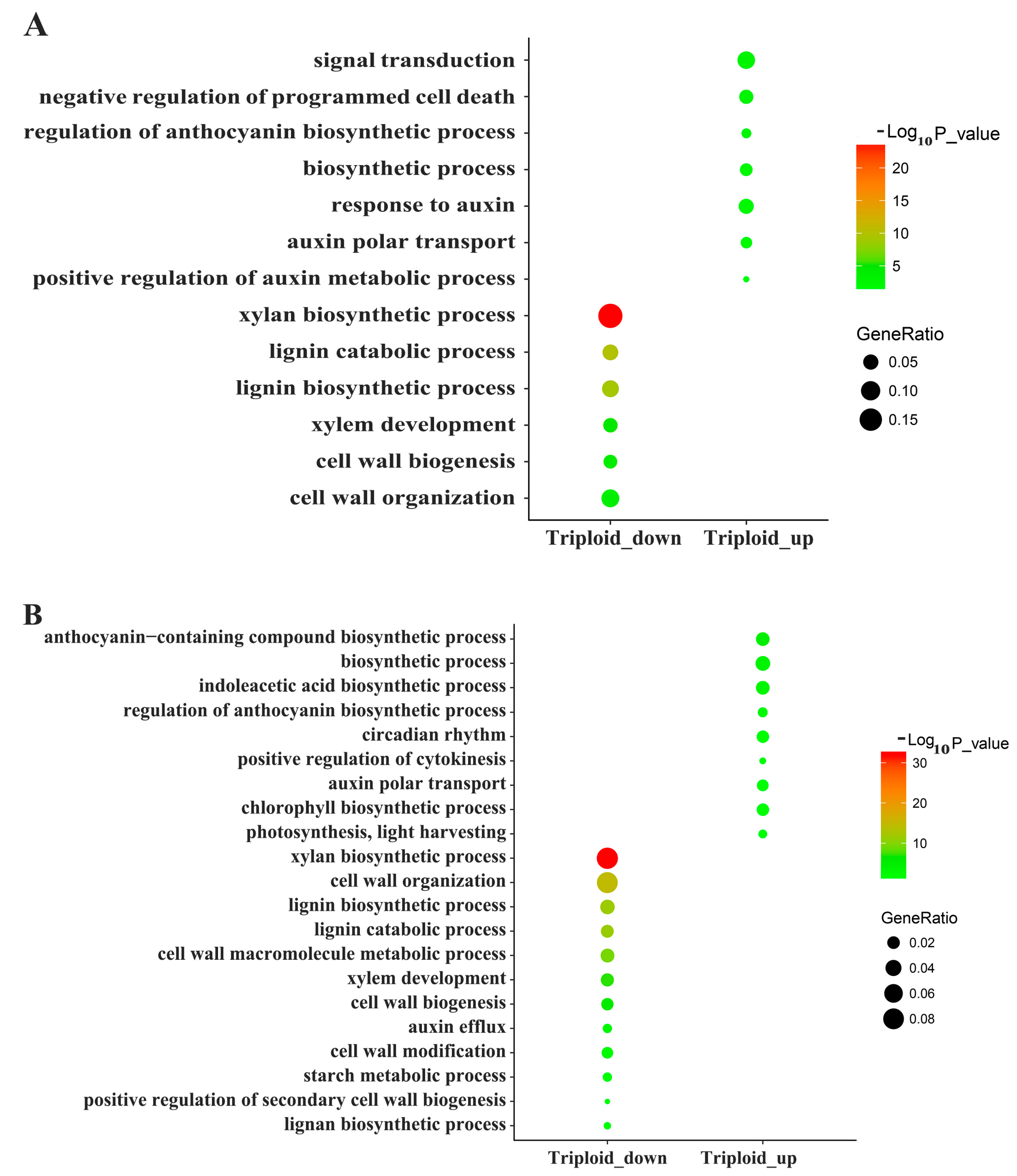 Forests 10 00920 g003a