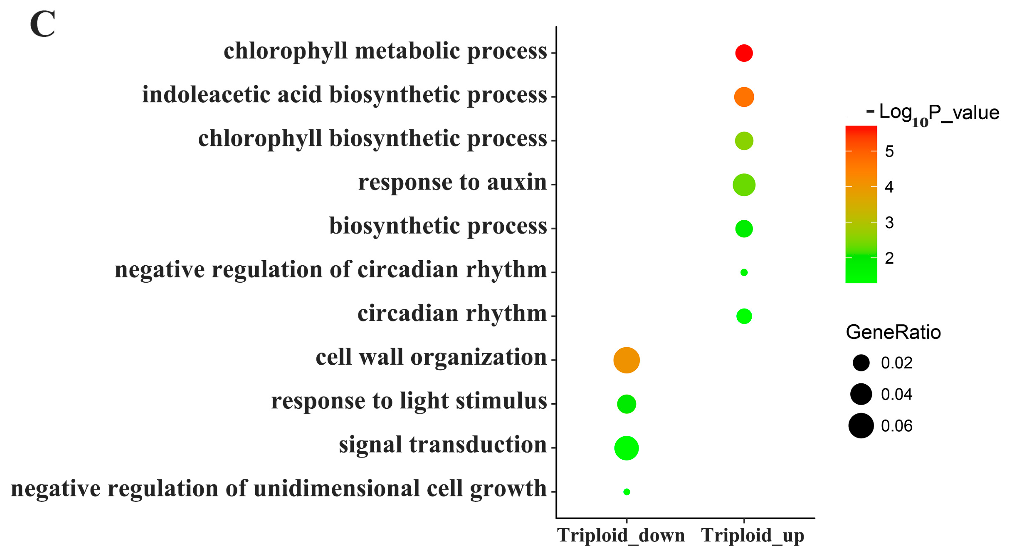 Forests 10 00920 g003b