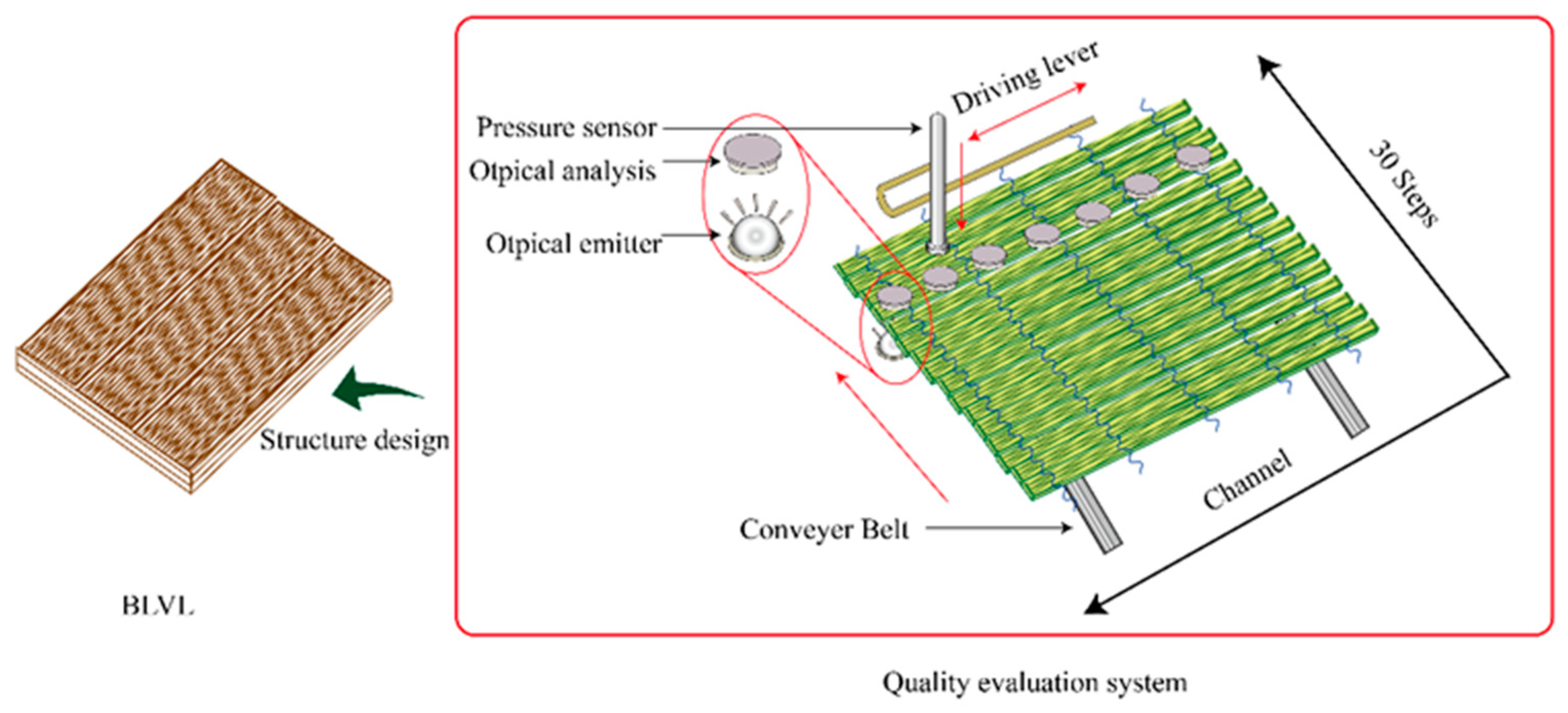 Forests 10 00921 g004 550