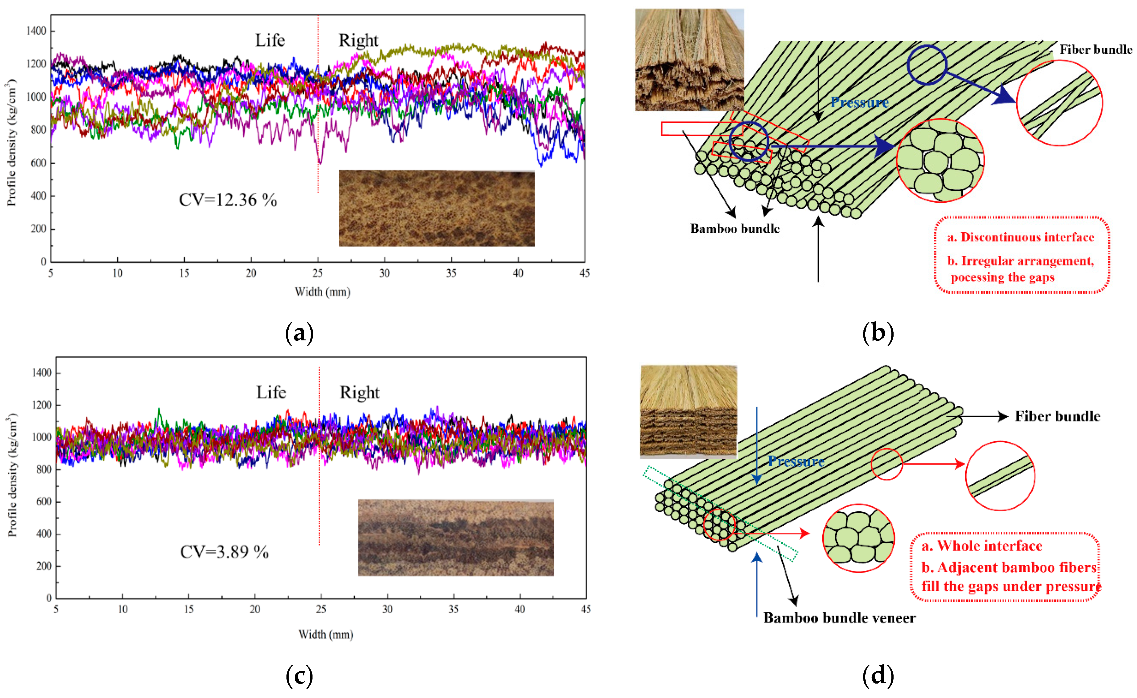 Forests 10 00921 g010 550