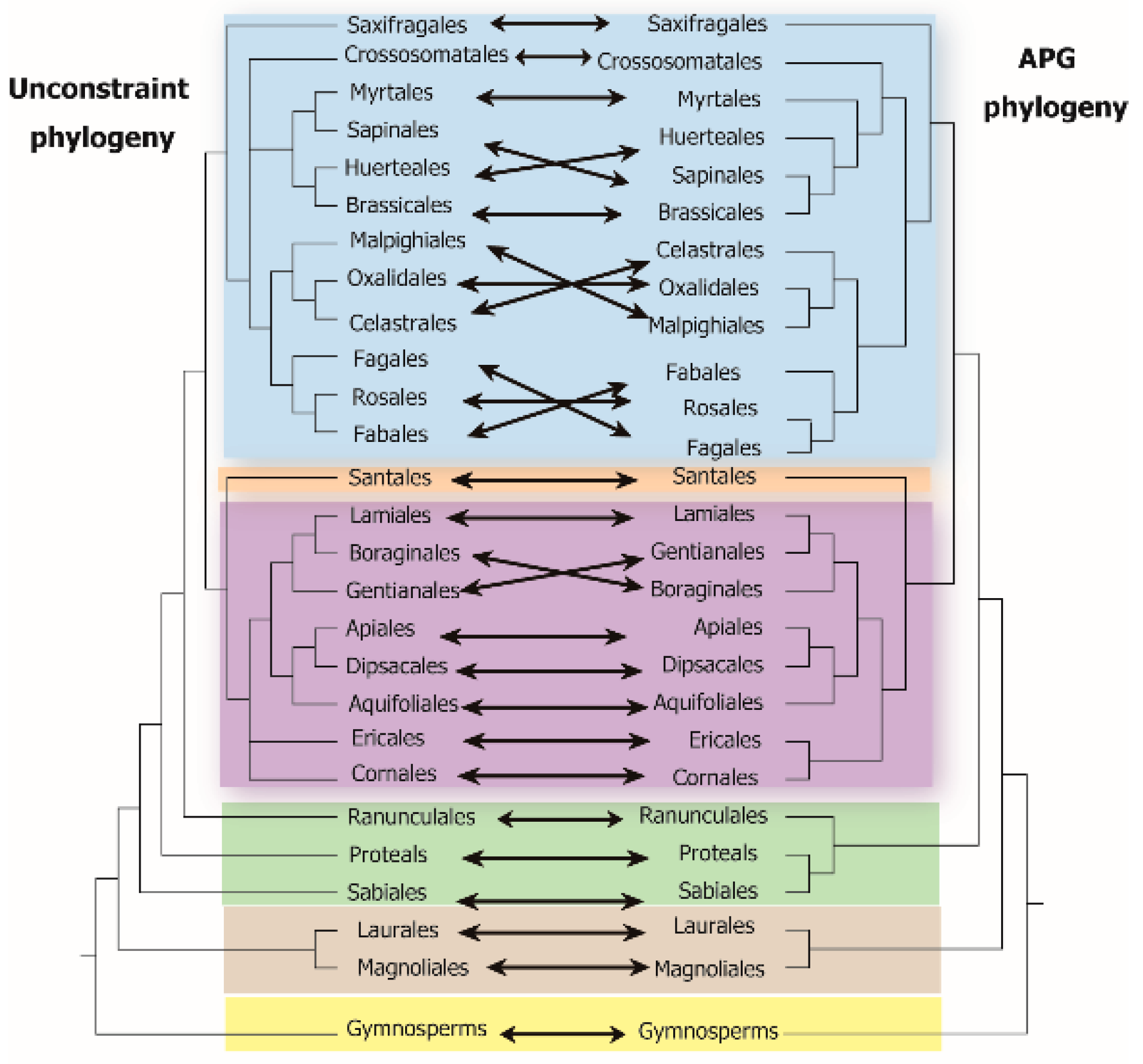Forests 10 00923 g001