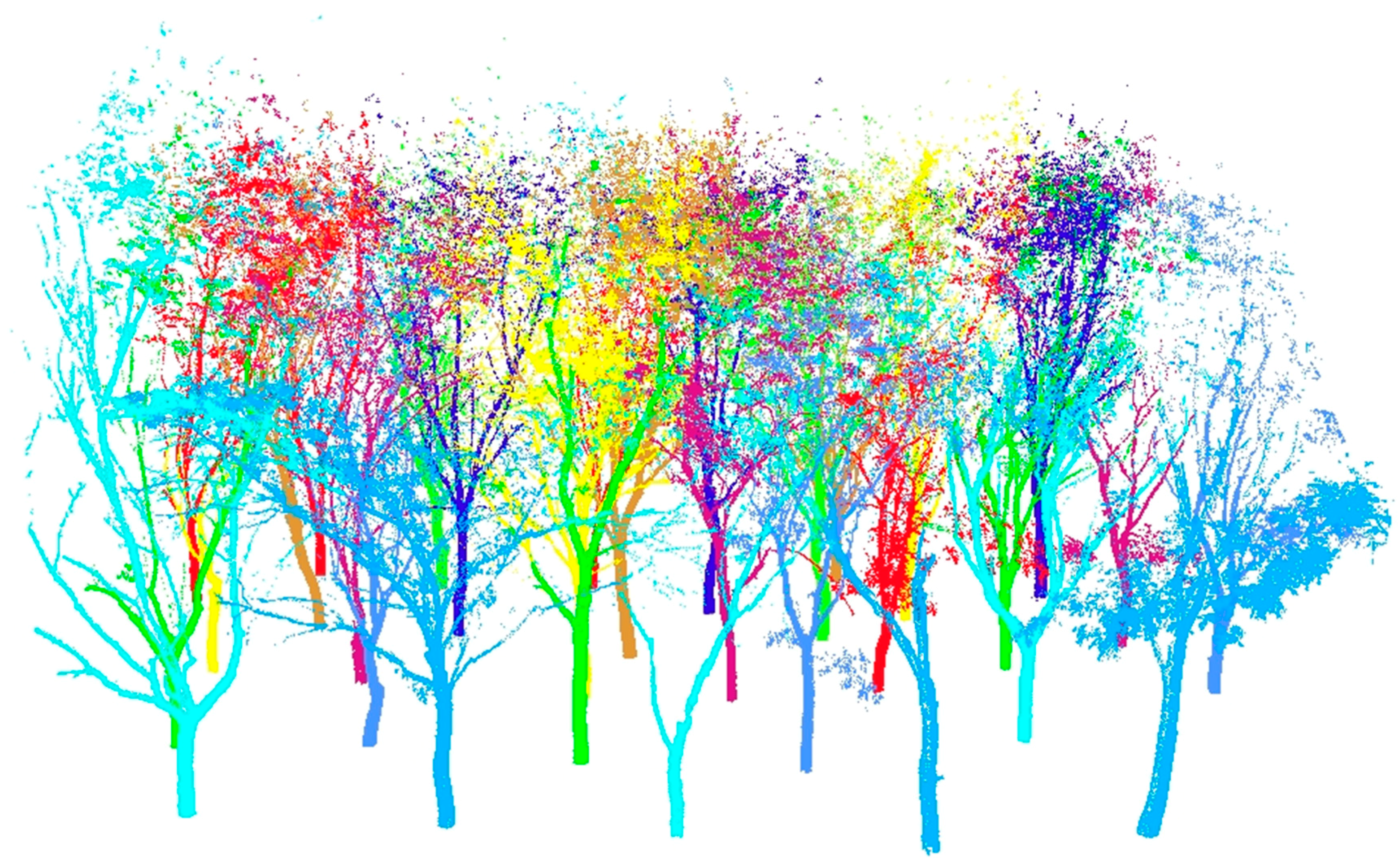 Forests 10 00936 g002