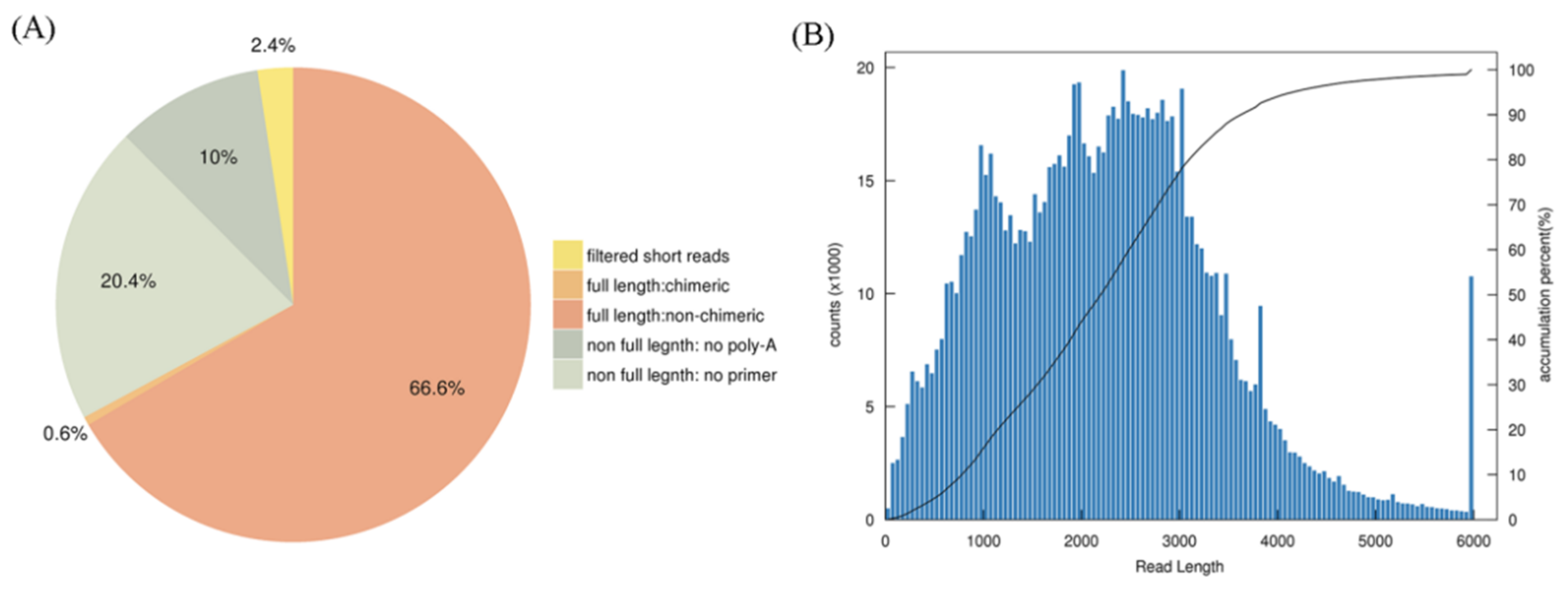 Forests 10 00942 g001 Forests 10 00942 g001